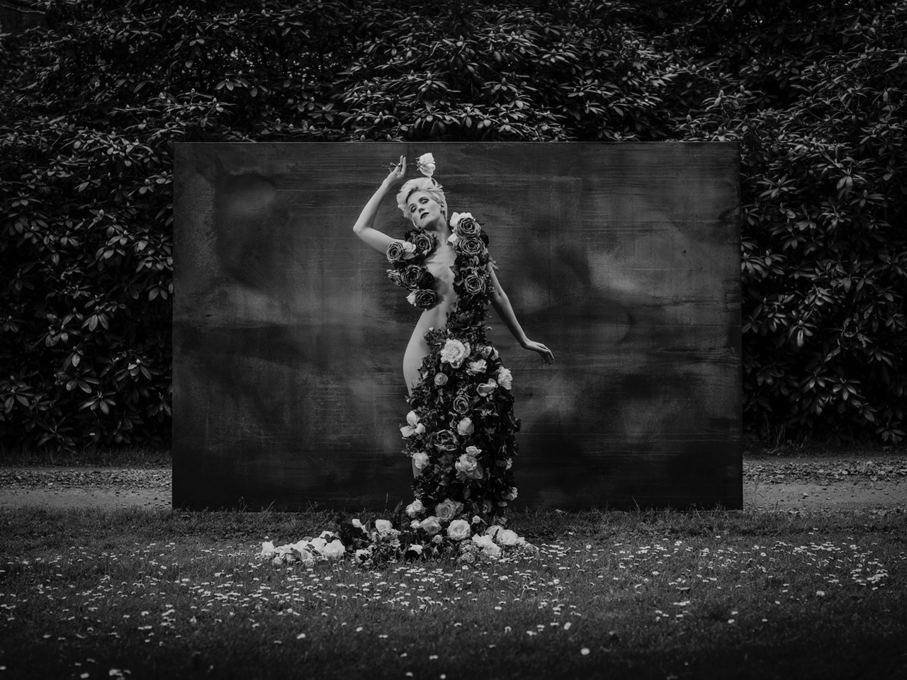 Roses - Jasmine by Jesper Molin Available in 3 sizes Price from 8500 SEK incl frame
