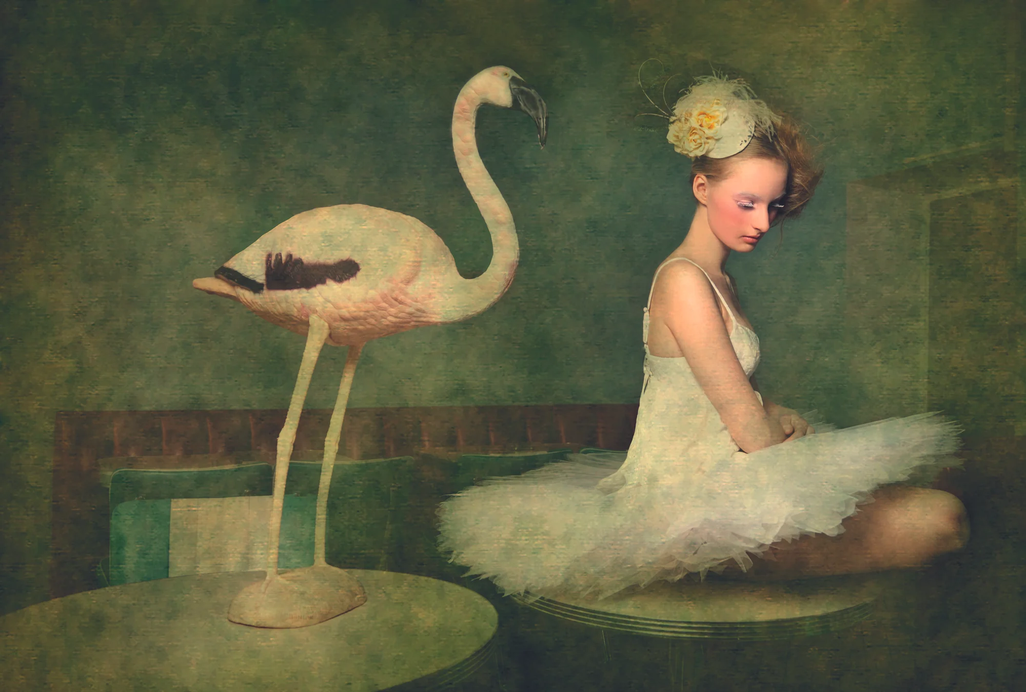 Enigma 16 by Anna Osk Erlingsdottir