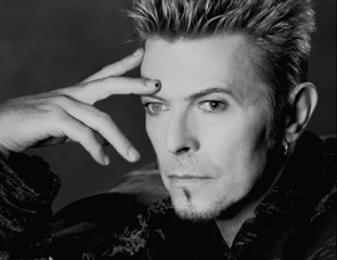 Bowie Closeup.jpeg