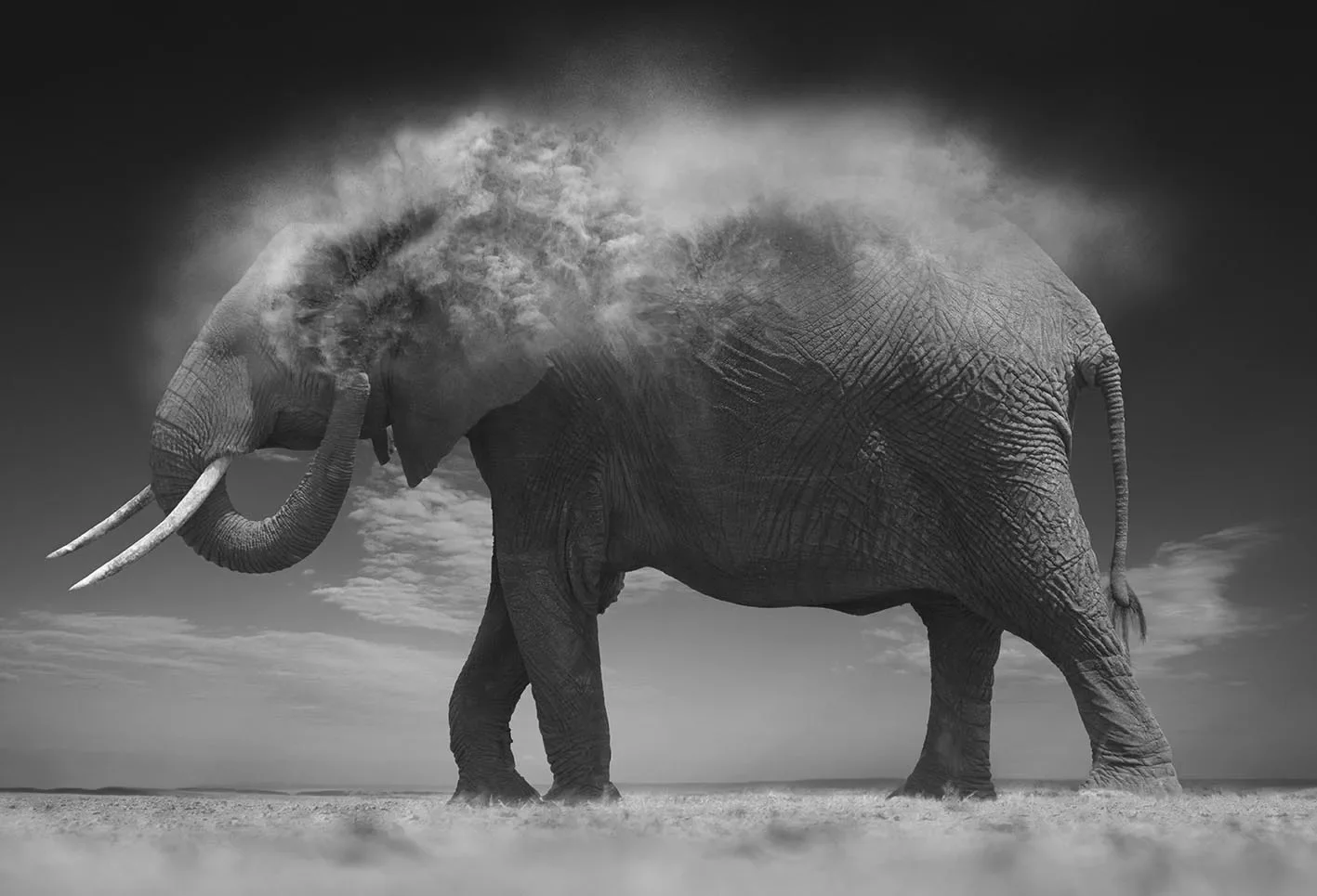 DUST-jpg.webp