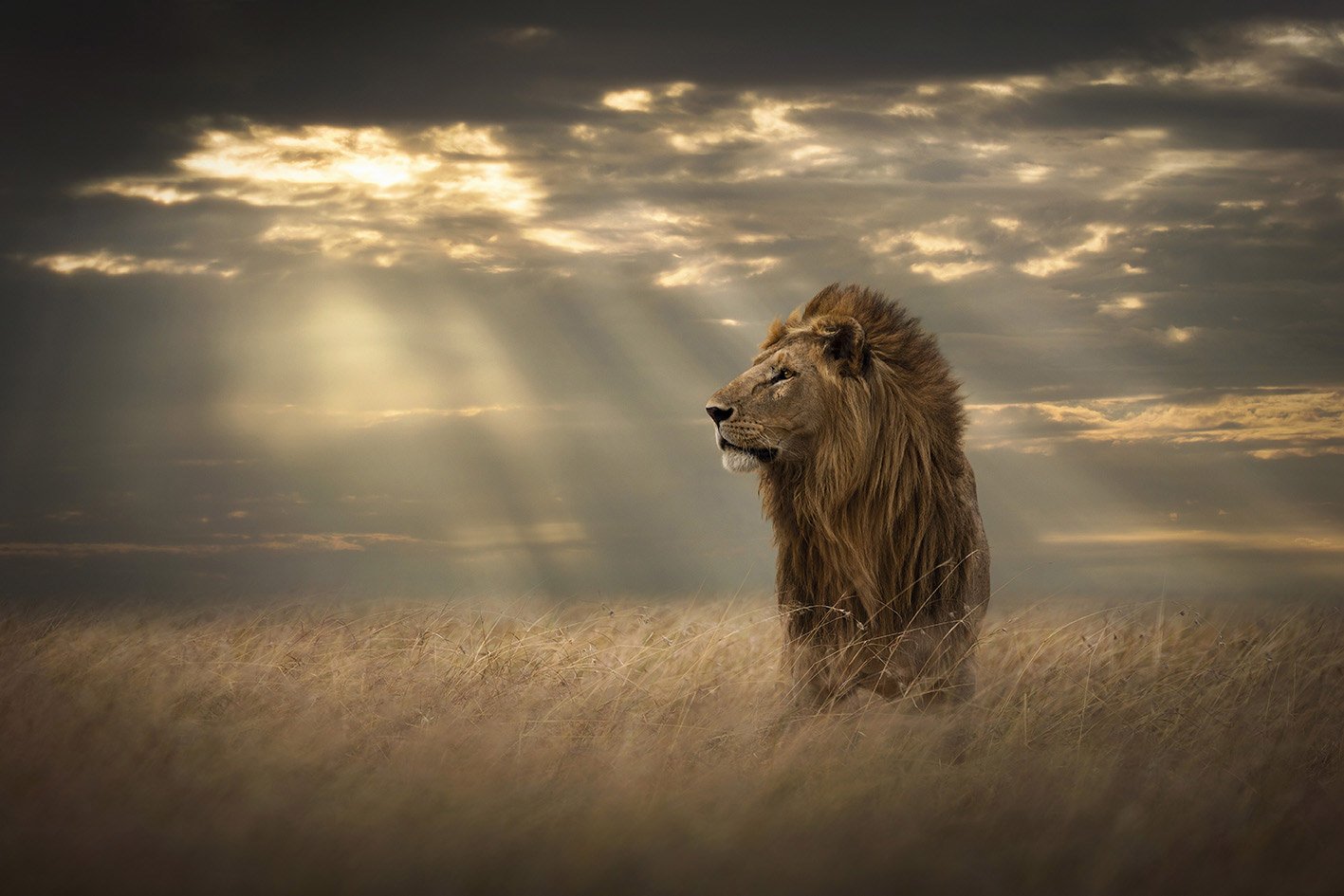 lord_of_the_land.jpg