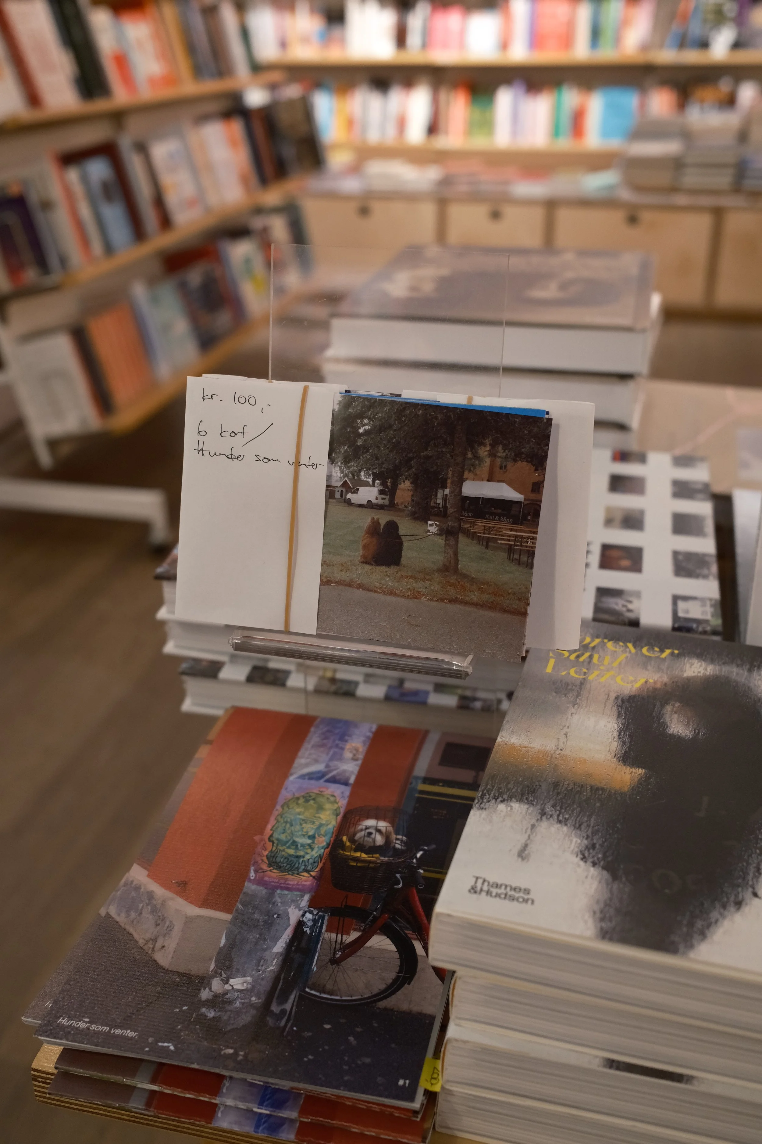  8. des: Hundene venter flere steder hos Tronsmo (2). 