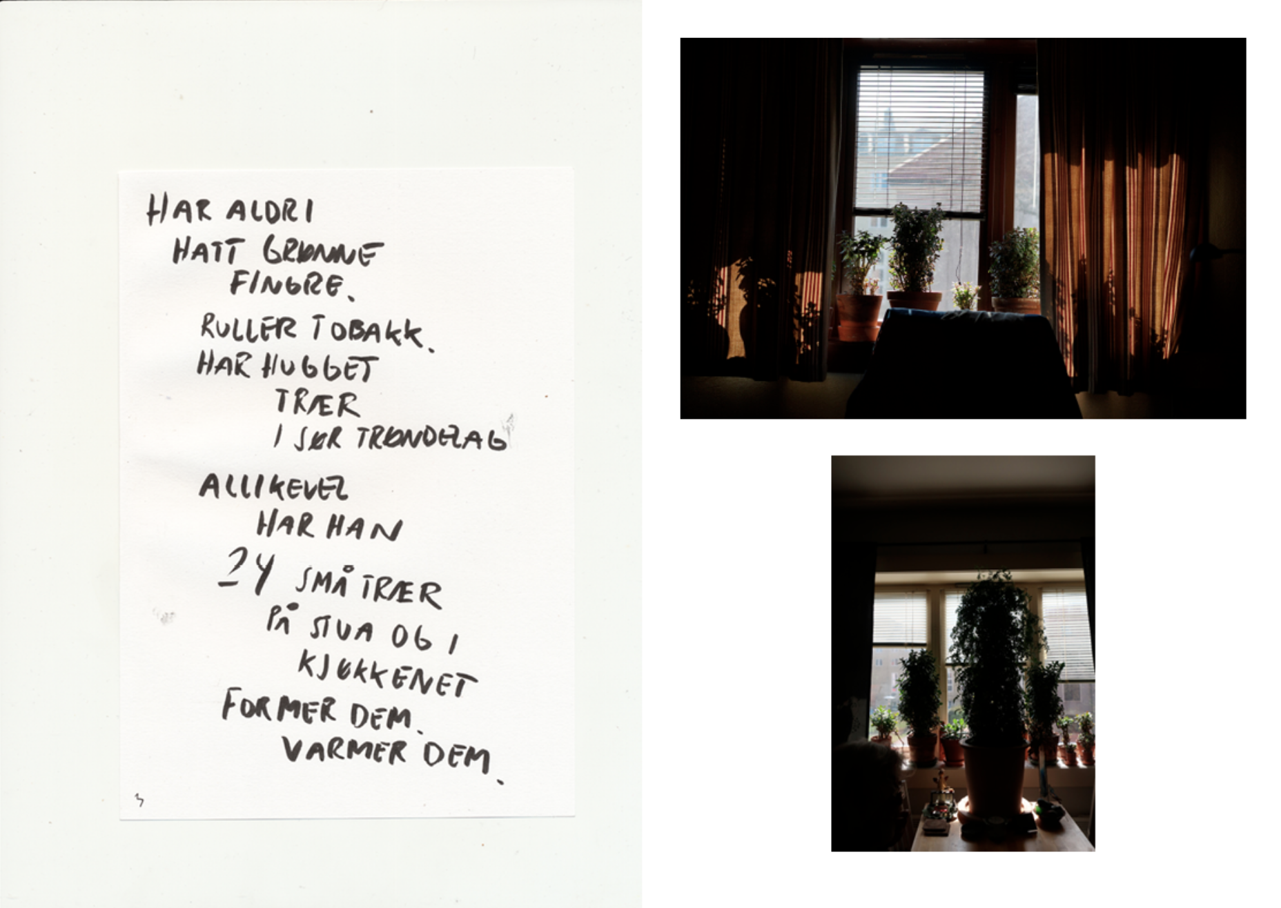 Skjermbilde 2026-02-12 kl. 11.24.23.png