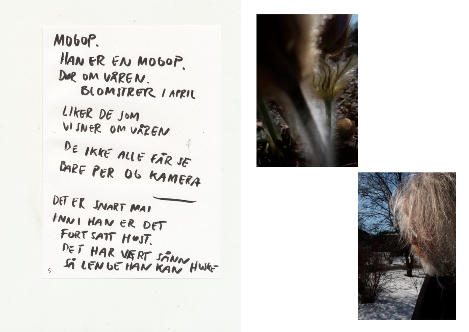 Skjermbilde 2026-02-12 kl. 11.24.54.png