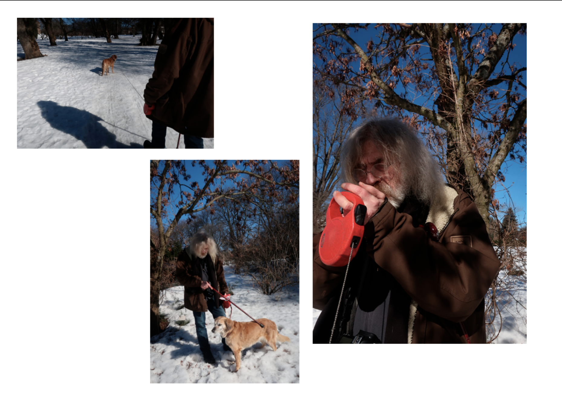 Skjermbilde 2026-02-12 kl. 11.31.09.png