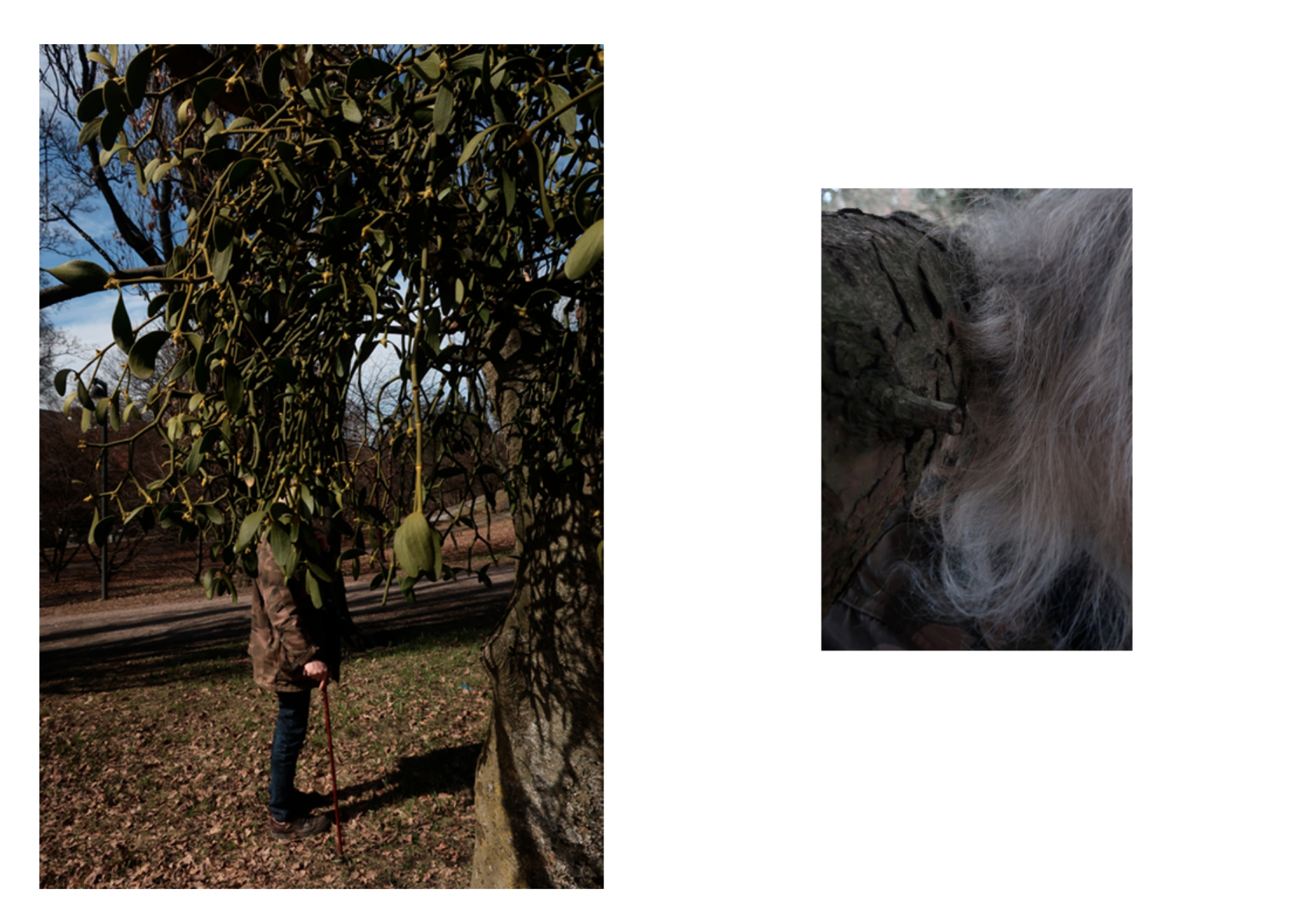 Skjermbilde 2026-02-12 kl. 11.31.35.png