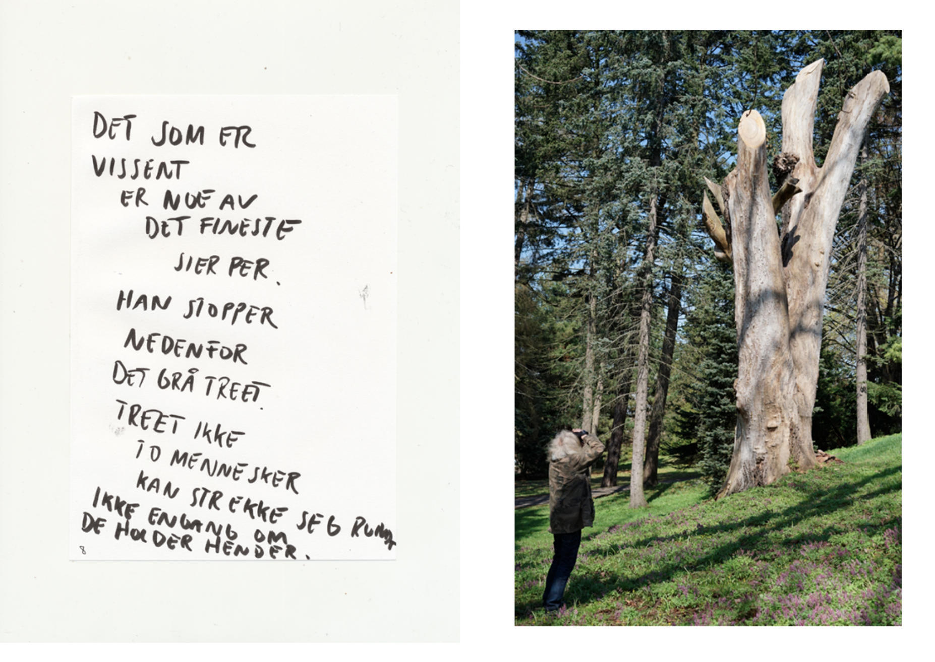 Skjermbilde 2026-02-12 kl. 11.31.47.png