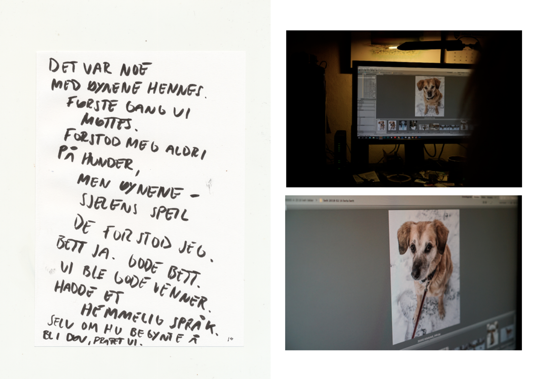 Skjermbilde 2026-02-12 kl. 11.32.24.png