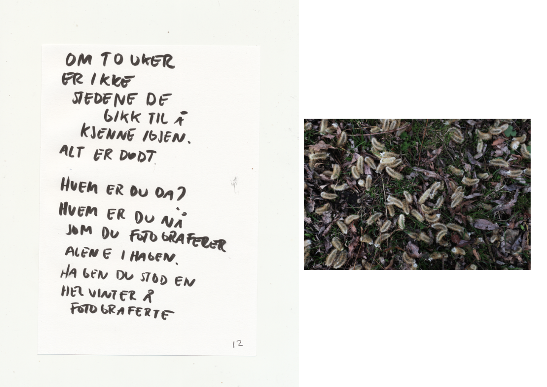 Skjermbilde 2026-02-12 kl. 11.42.05.png