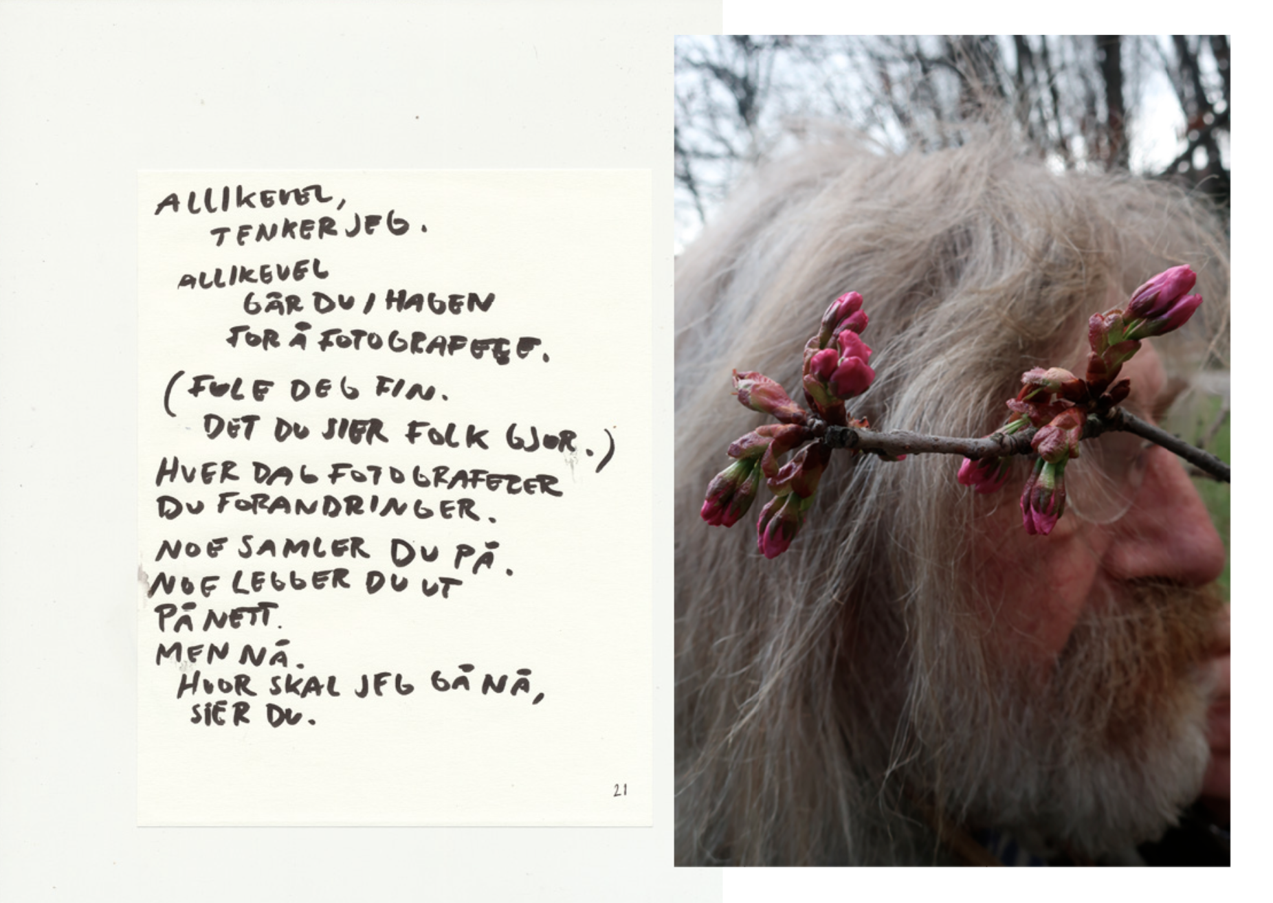 Skjermbilde 2026-02-12 kl. 11.48.00.png