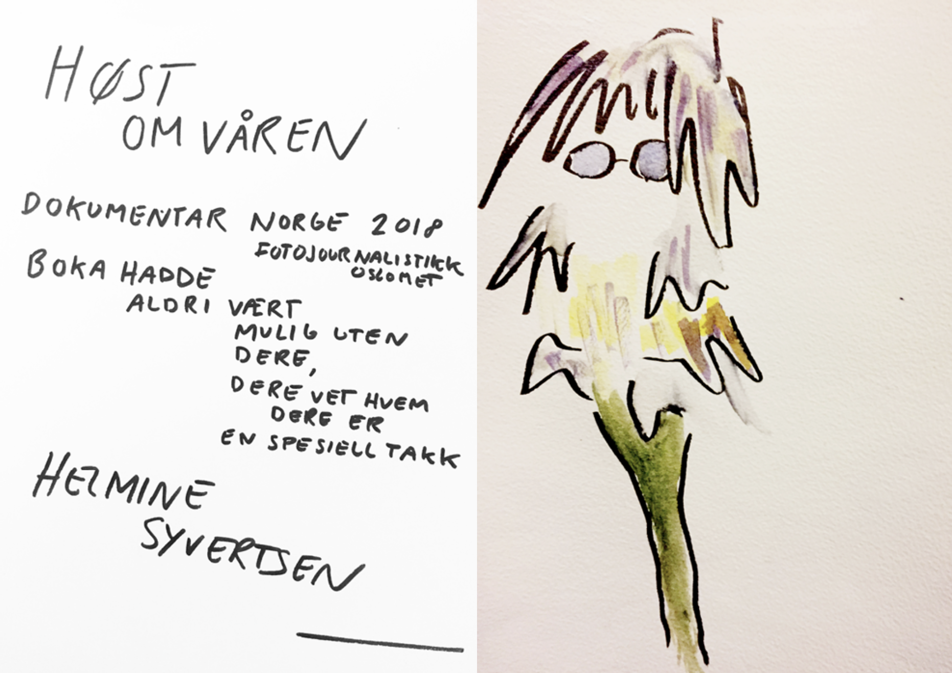 Skjermbilde 2026-02-12 kl. 11.47.12.png