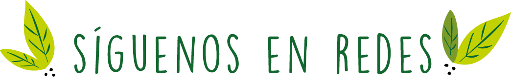 redes.png