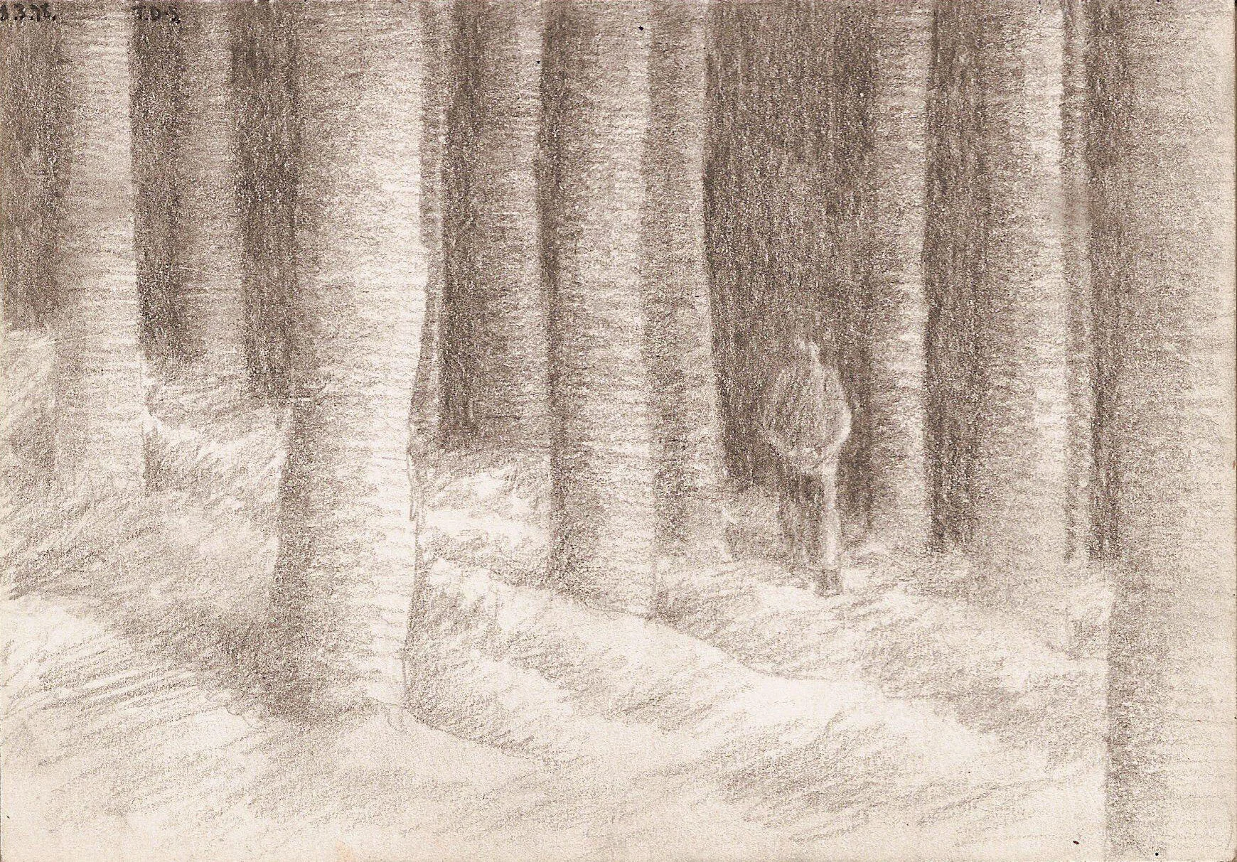 a walk in the woods.jpg