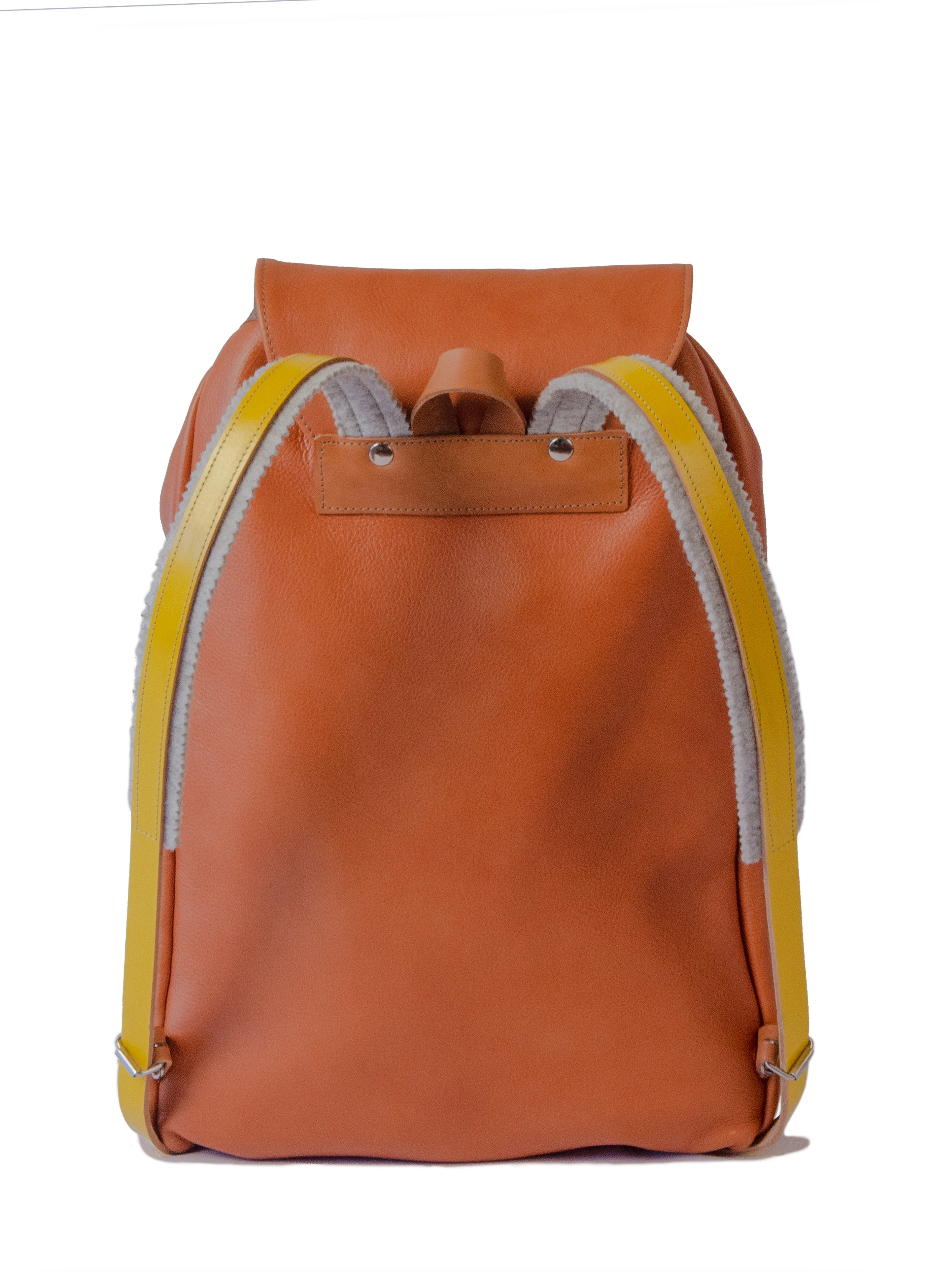backpack_brown_back.jpg