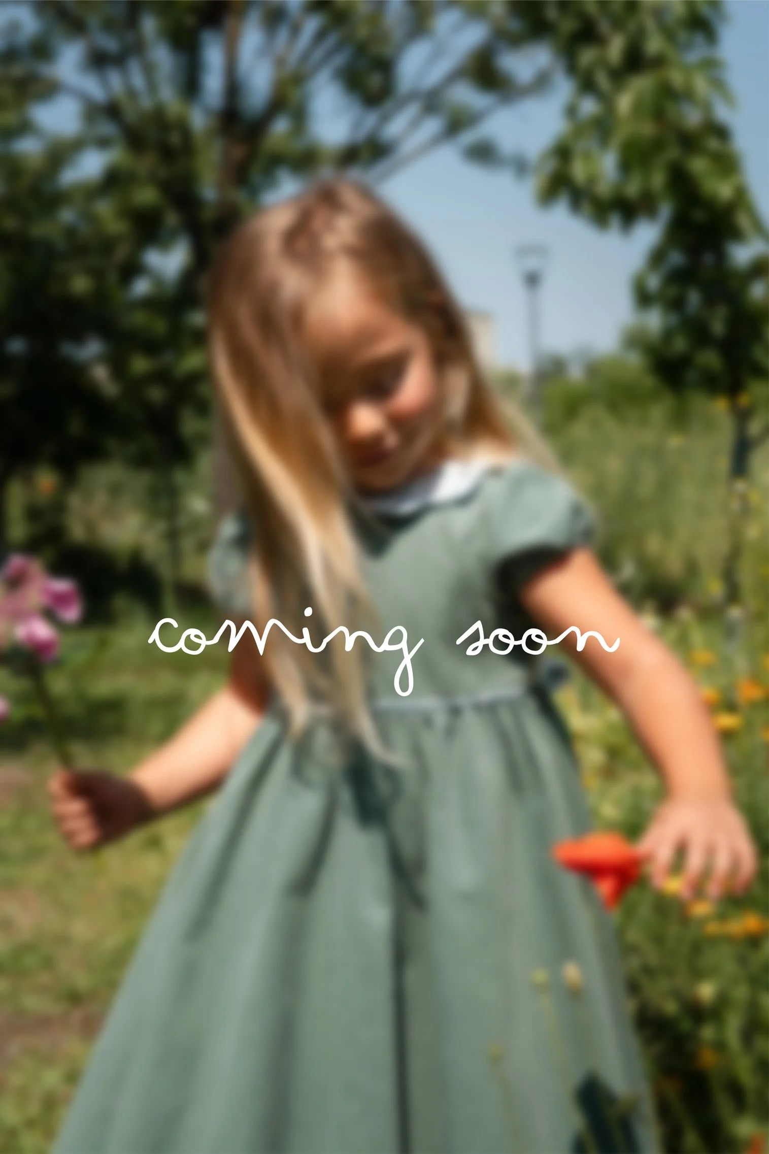 DSC04315 coming soon.jpg