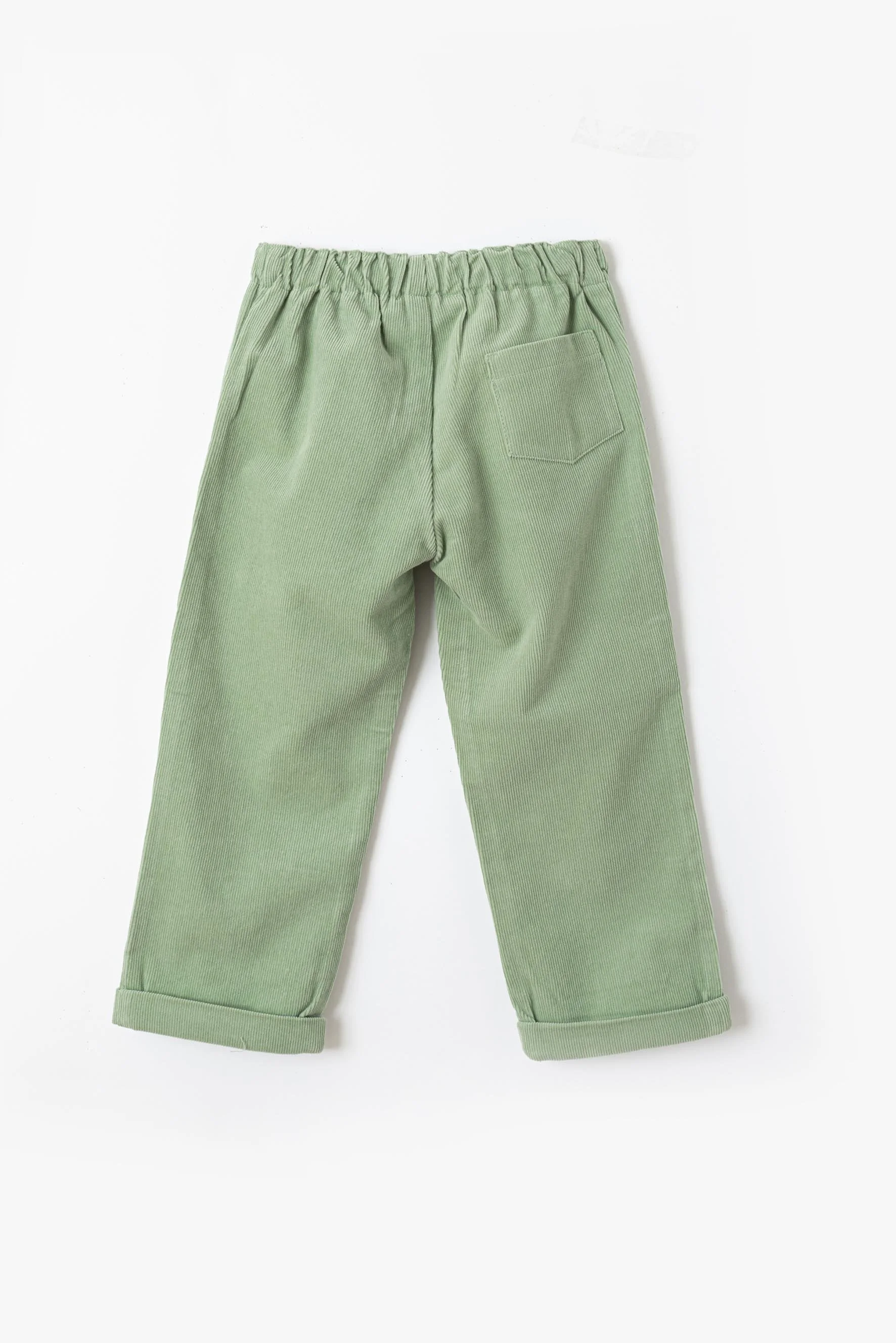Panta asilo salvia retro.jpg
