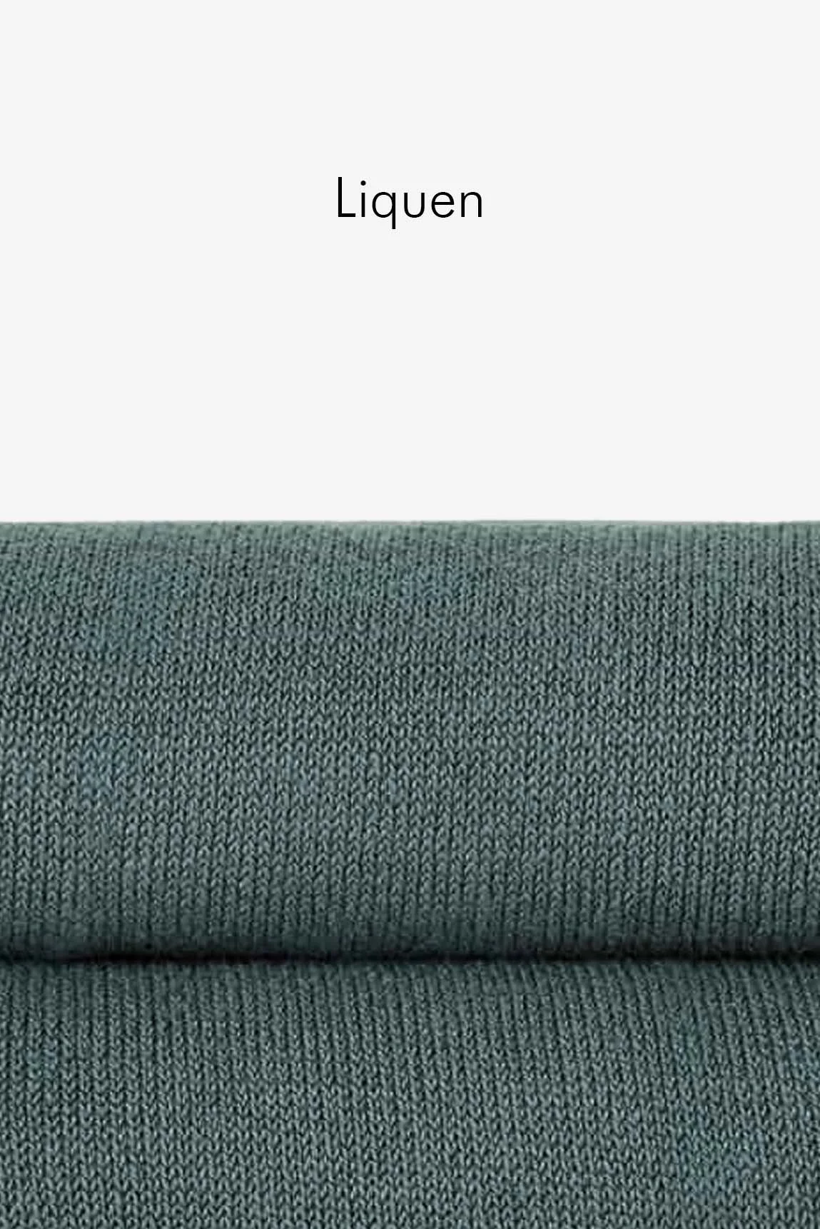 variante-liquen.jpg