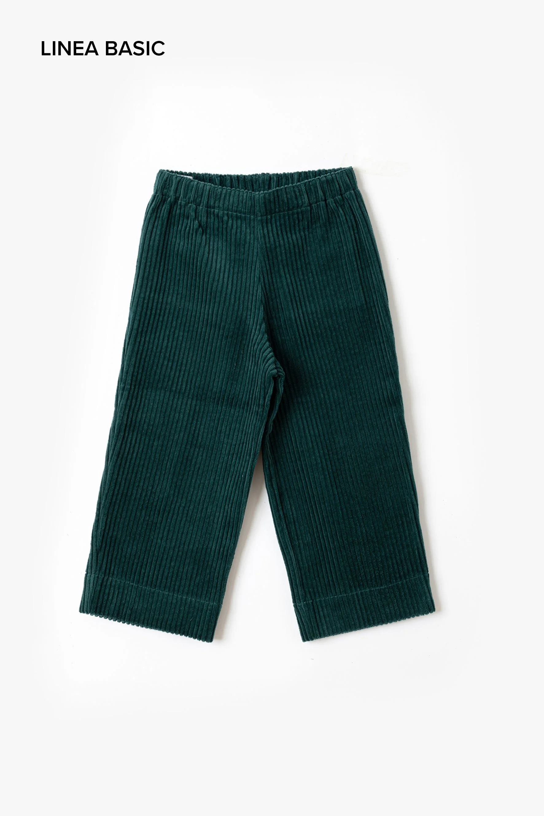 Bagghy verde basic.jpg