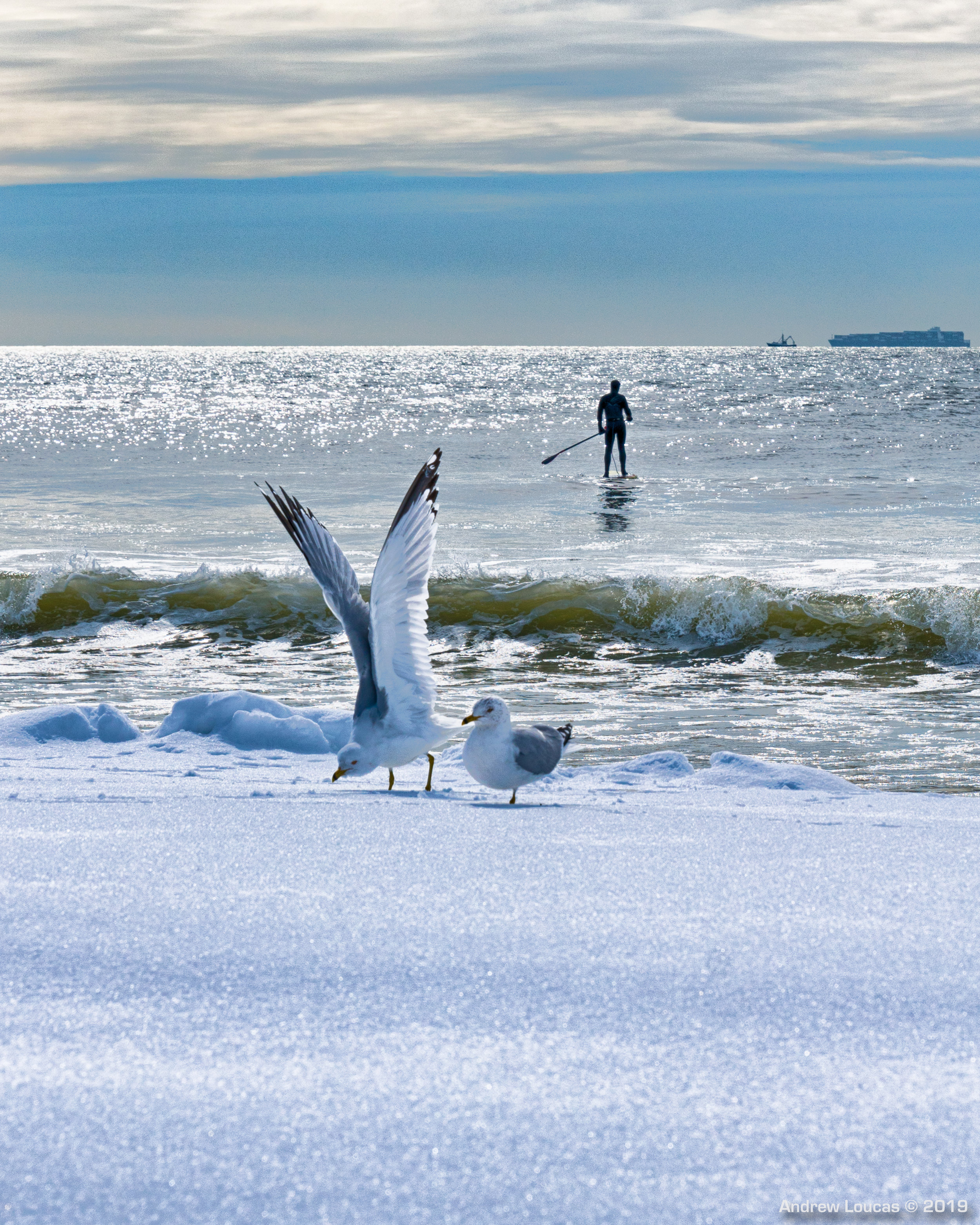 SUP FOR WEBSITE-.jpg