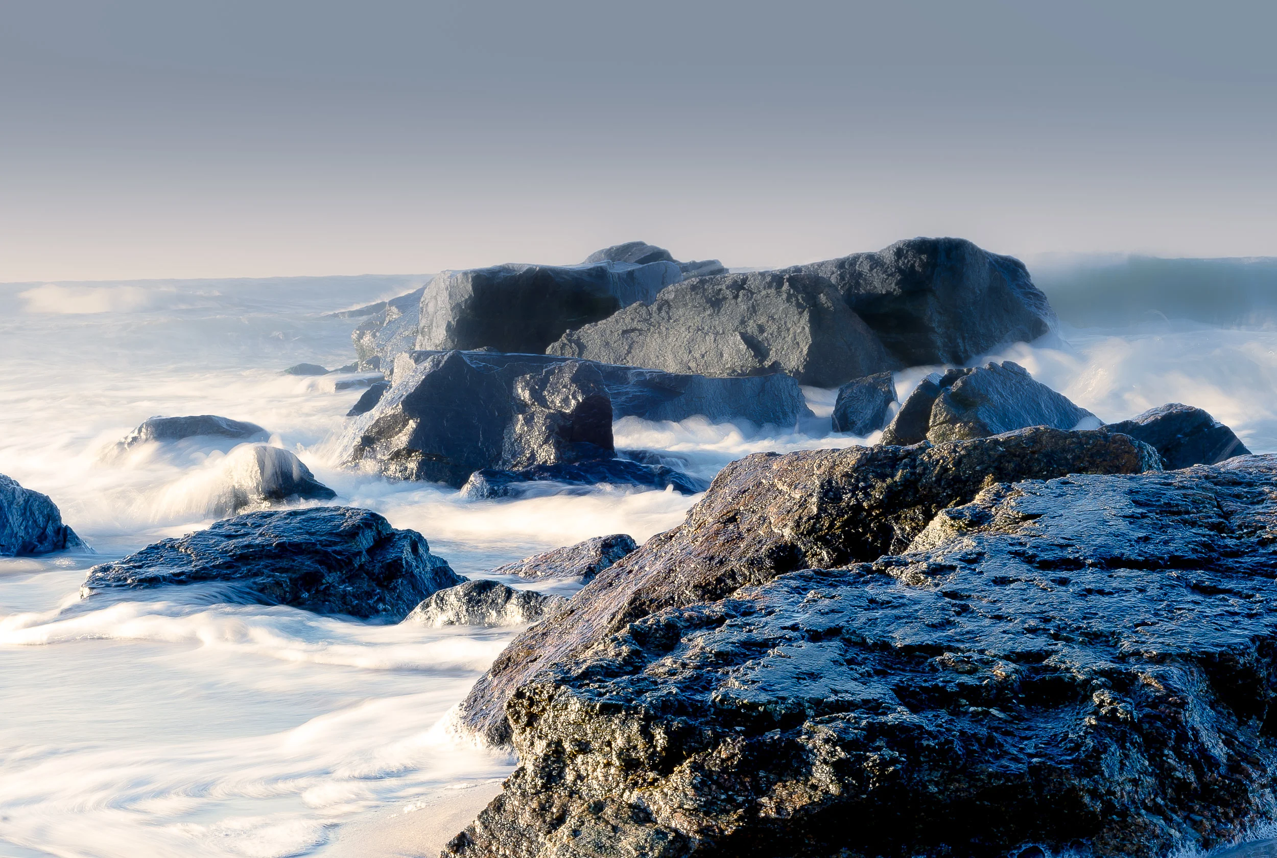 Laurelton Jetti-1.jpg