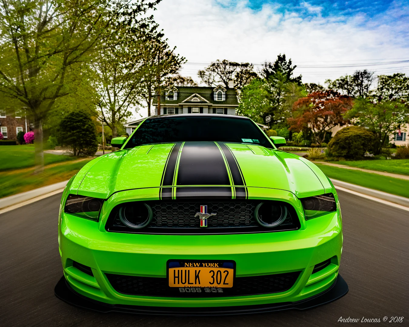 Boss Drivers Motion-.jpg