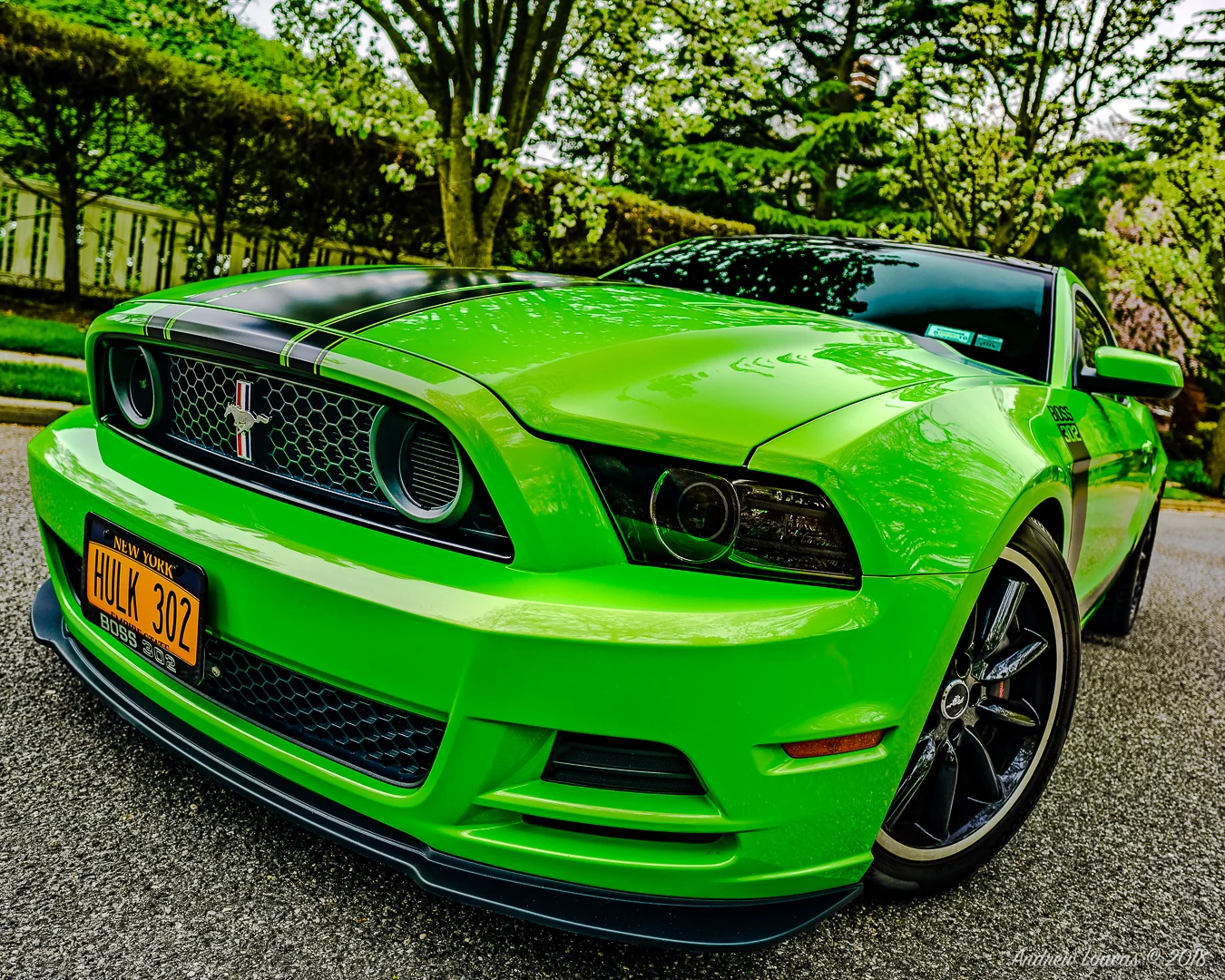 Boss Drivers Headlight-.jpg