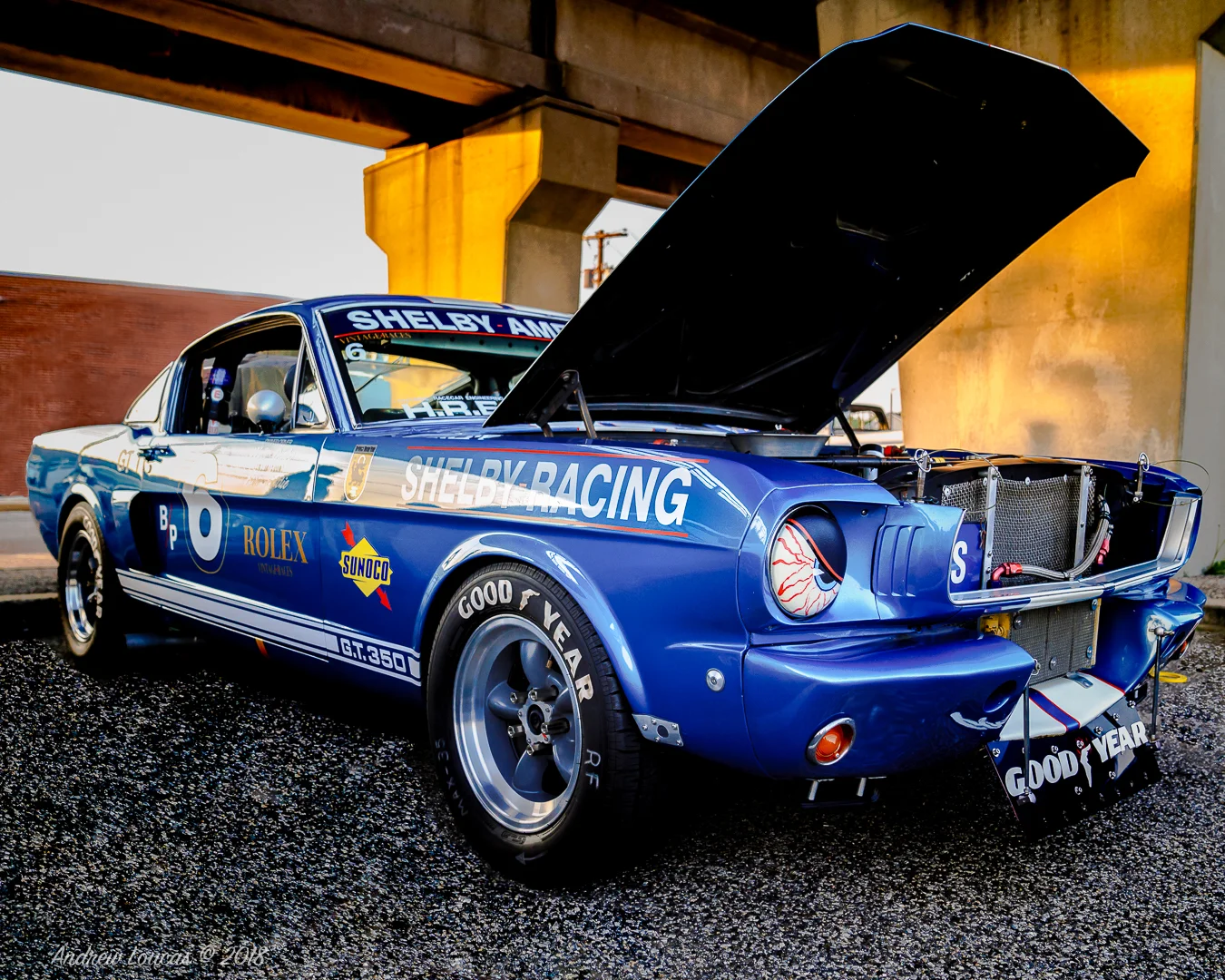 GT350 Bellmore-1.jpg