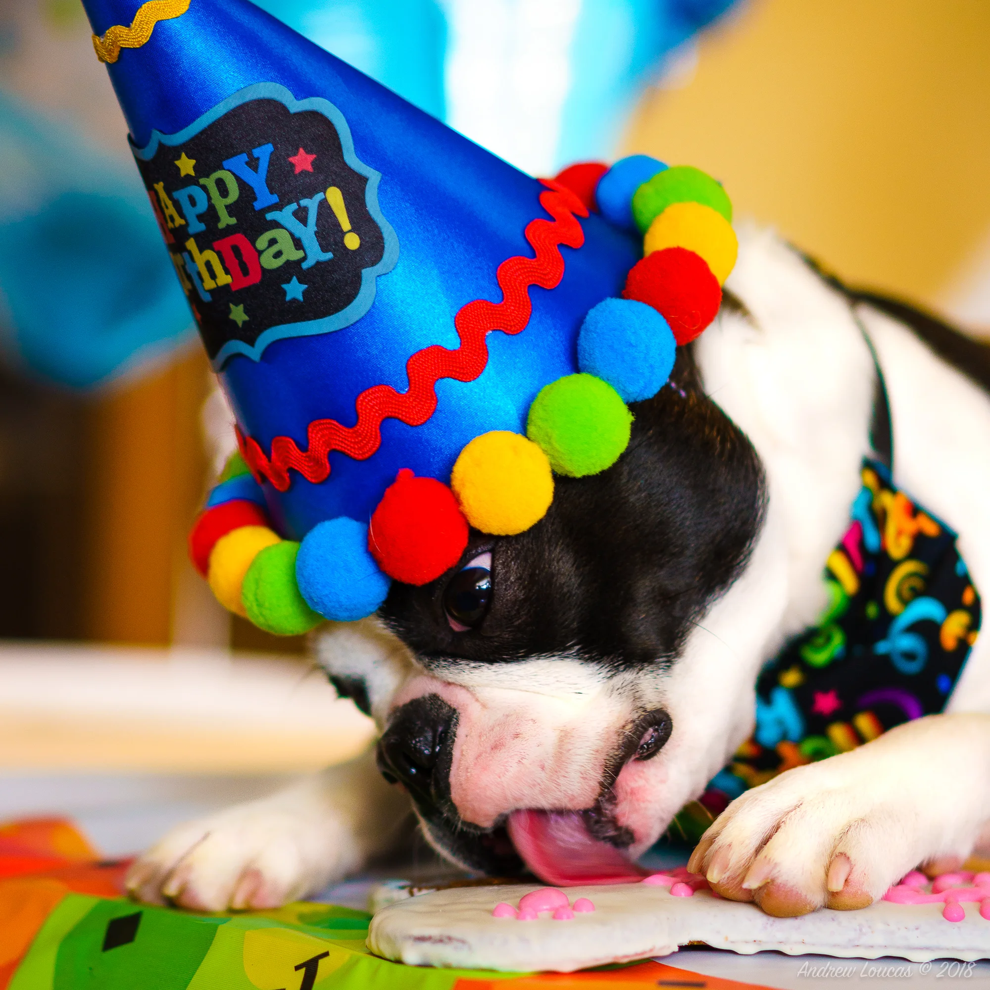 Leo Eating Brthday Cake-.jpg