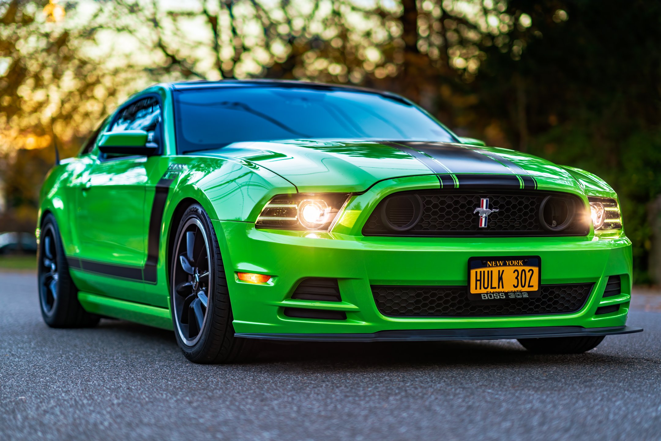 BOSS-NOSE_NoSignature (1 of 1).jpg