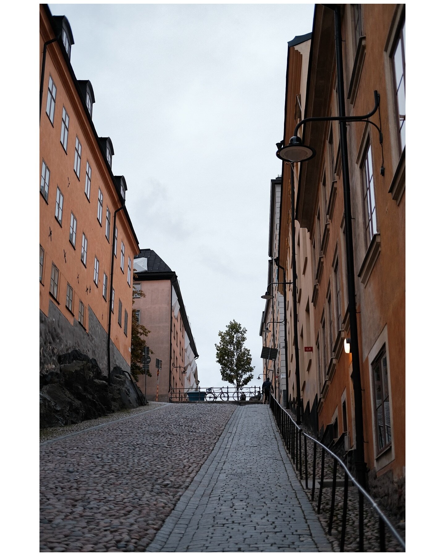 A lonely tree
Stockholm, Sweden
October 2023

#stockholm #visitstockholm #viewstockholm #sweden #sverige #fujifilm_xseries #fujifilmnordic #fujifilmxpro3 #xpro3 #fujifilm #fujifilm_global #fujifilmfocus #myfujilove #fujimag #spicollective #shinyhappy