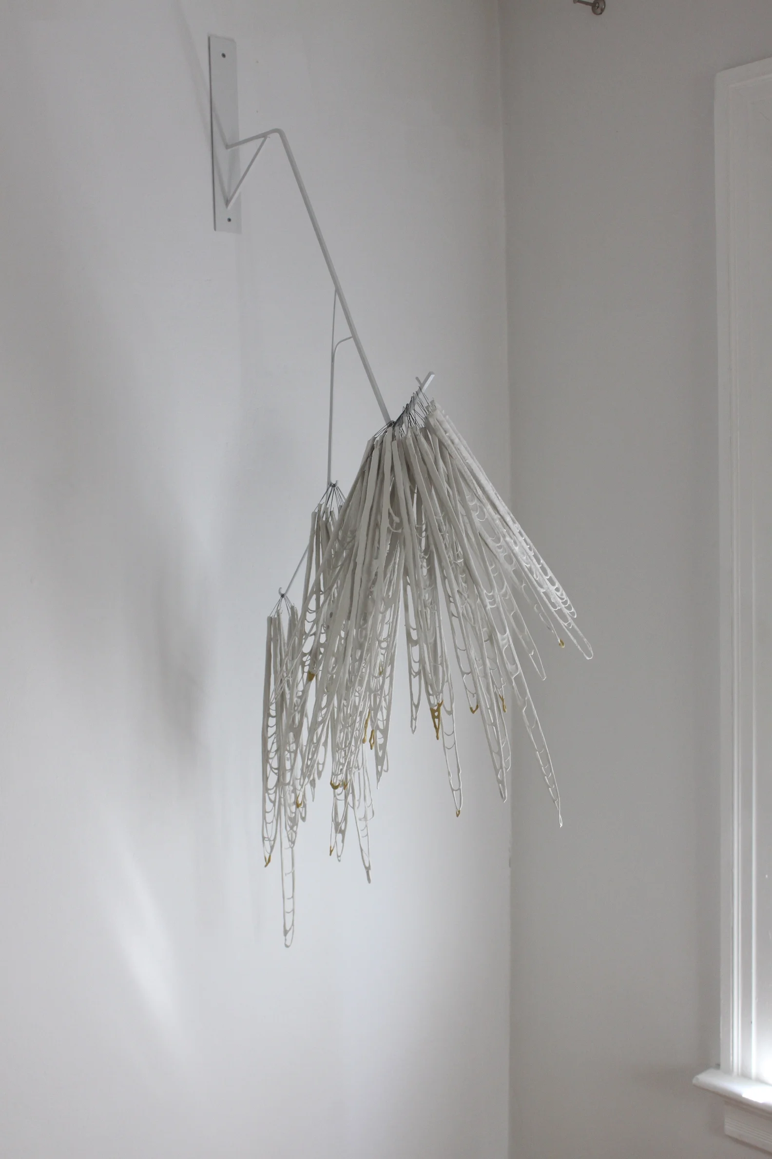 DougBosch_image 02.JPG