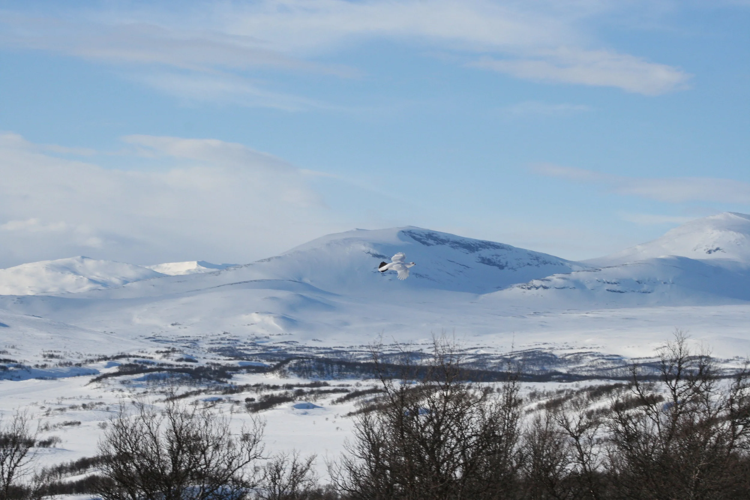 080405-Påskbilder 062.jpg