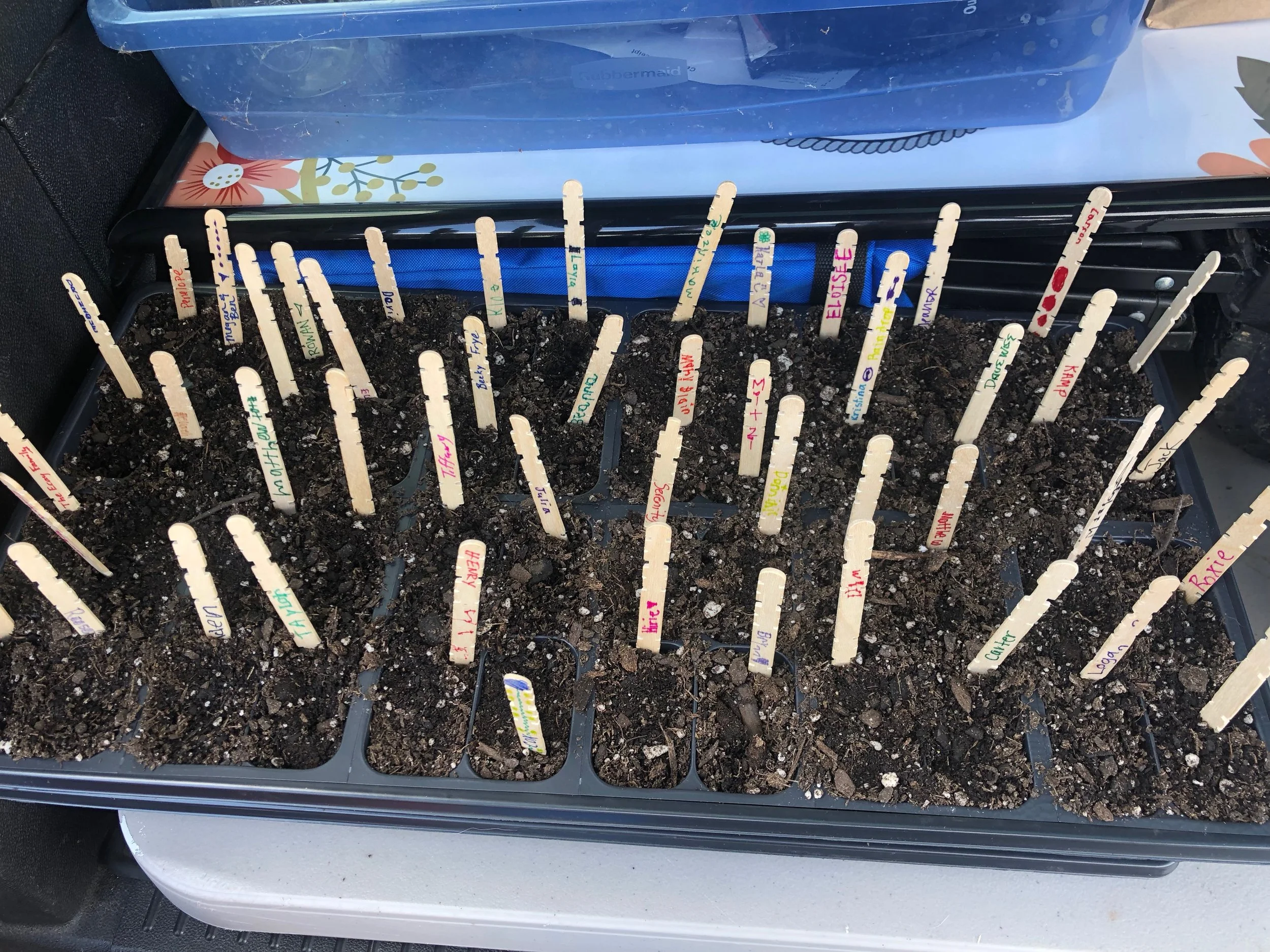 Farmers Market!- June 1, 2019