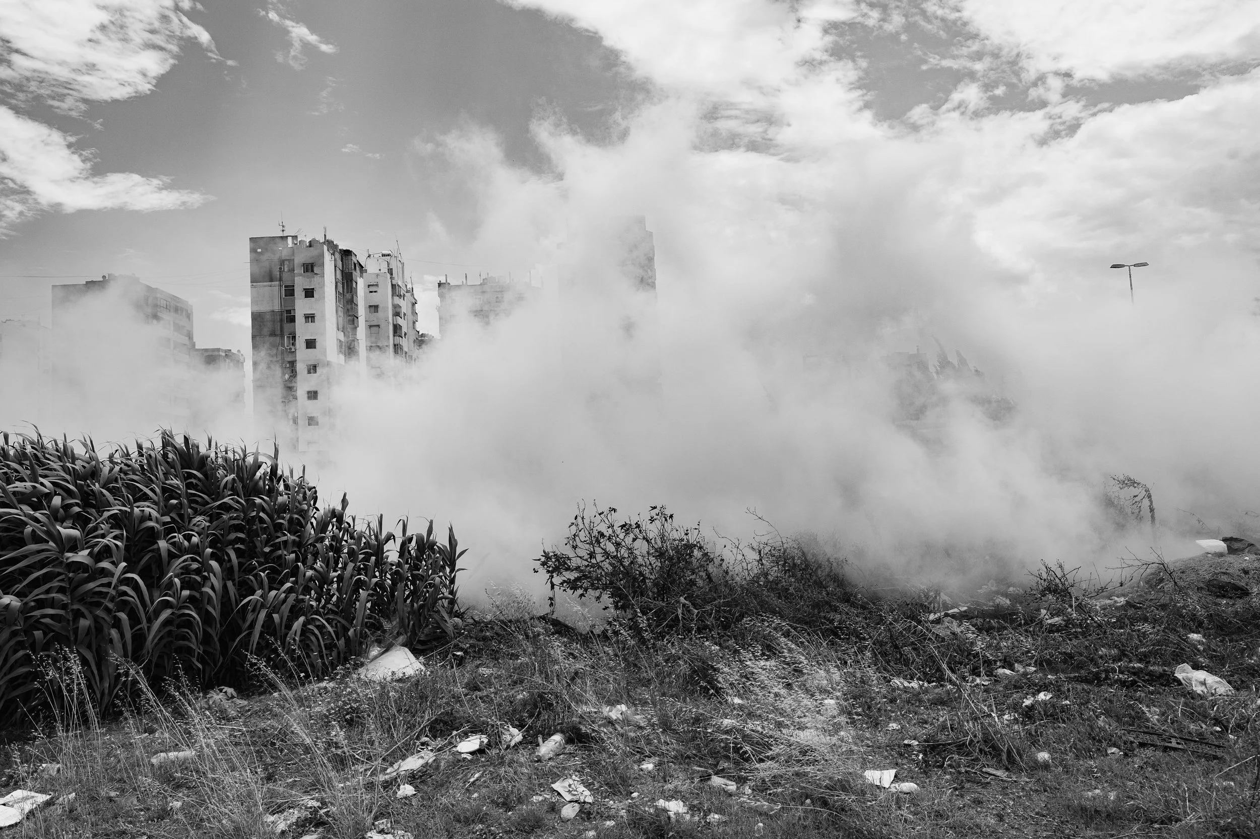Project Lebanon-20.jpg