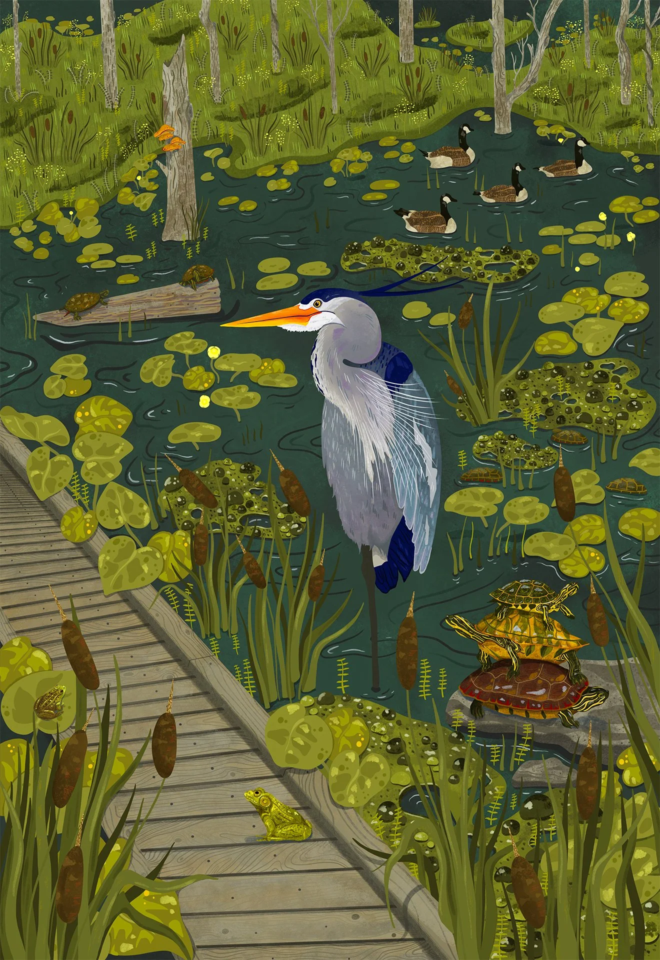 Conestee_BlueHeron_Web.jpg