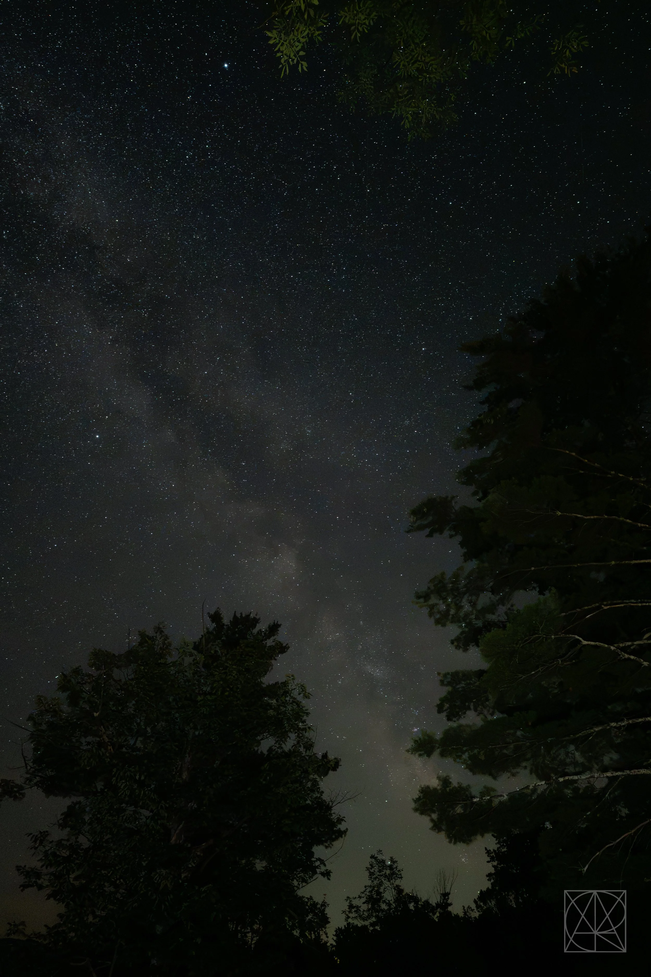 july_vt2026_1657.jpg