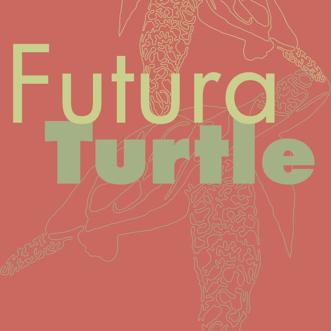 turtle_futura1.jpg