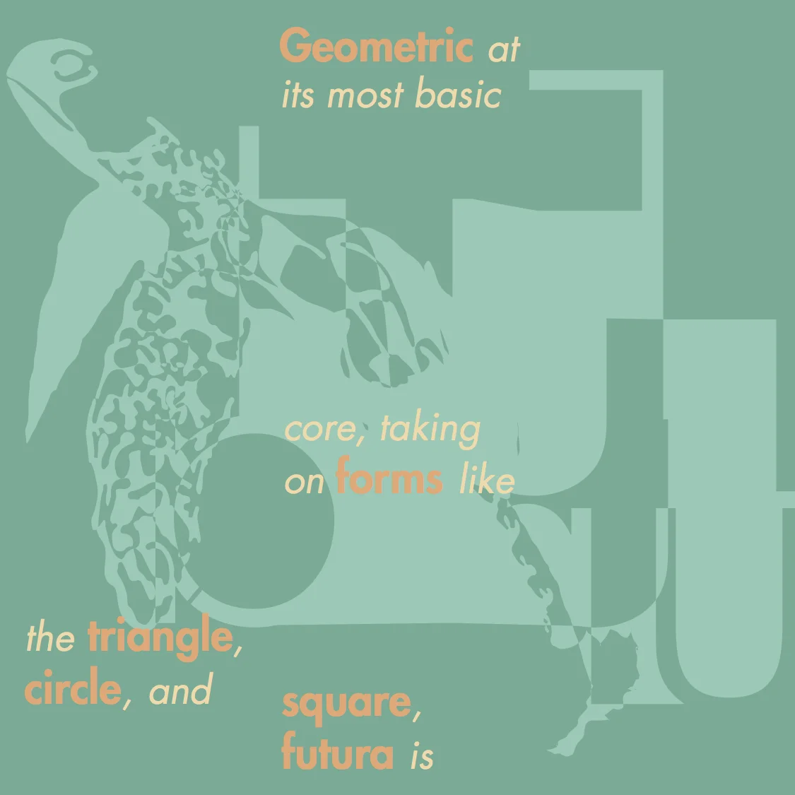 turtle_futura2.jpg