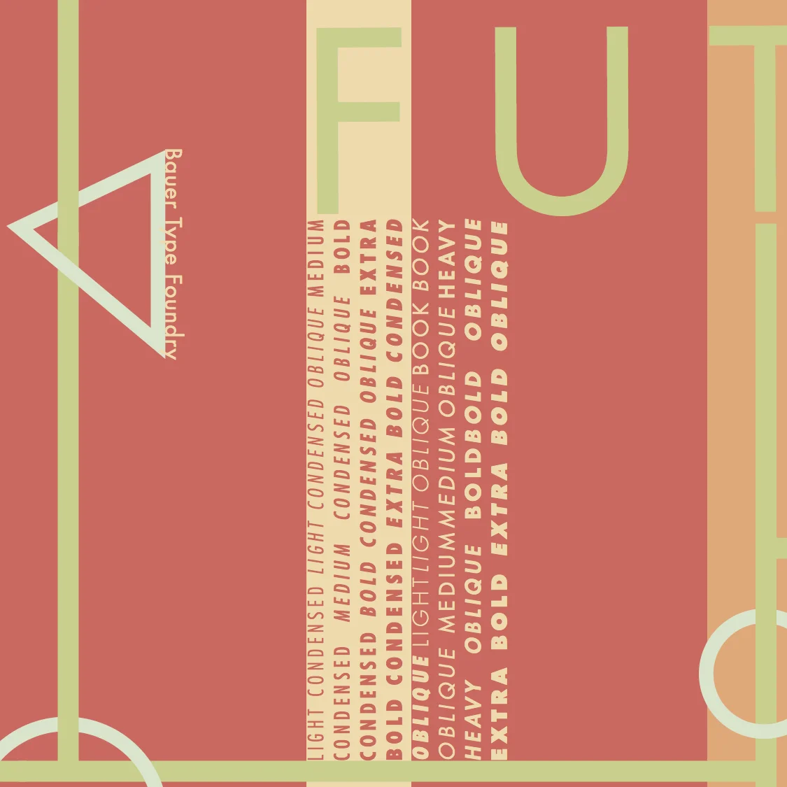 turtle_futura6.jpg