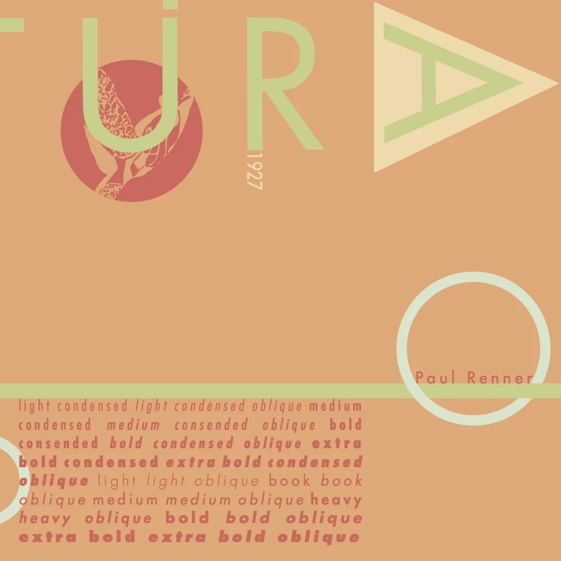 turtle_futura7.jpg