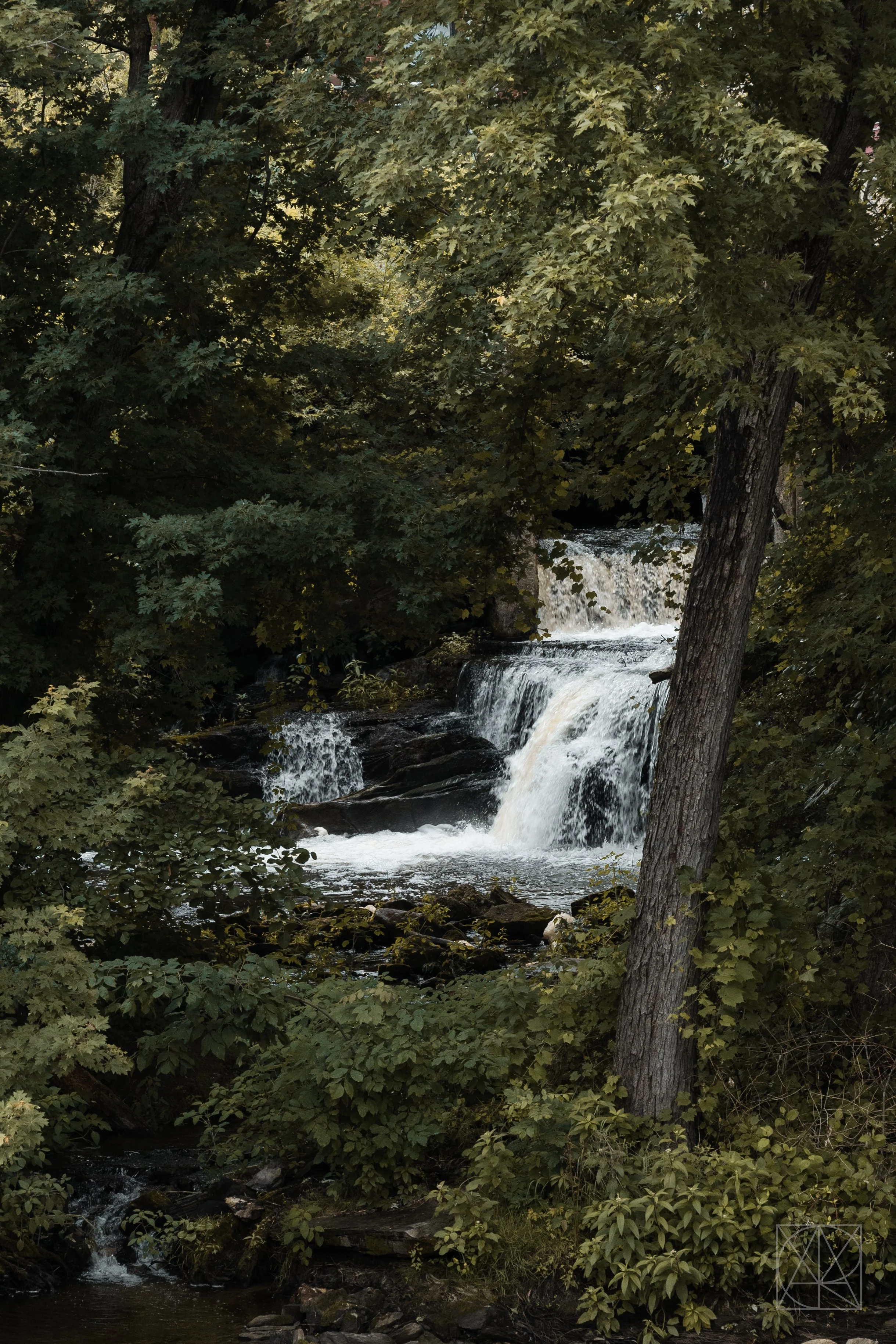 july_vt2026_1188.jpg