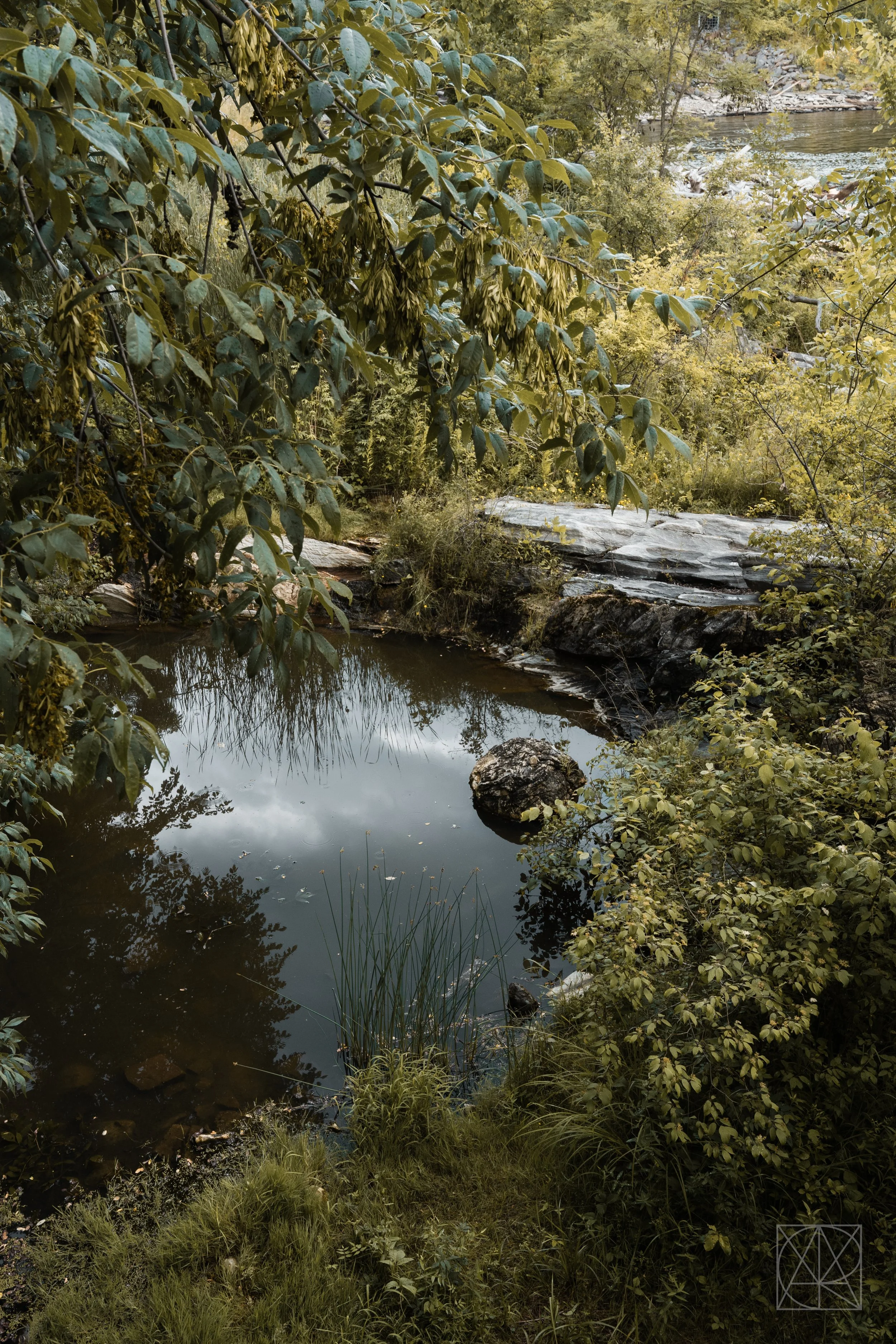 july_vt2026_1199-2.jpg