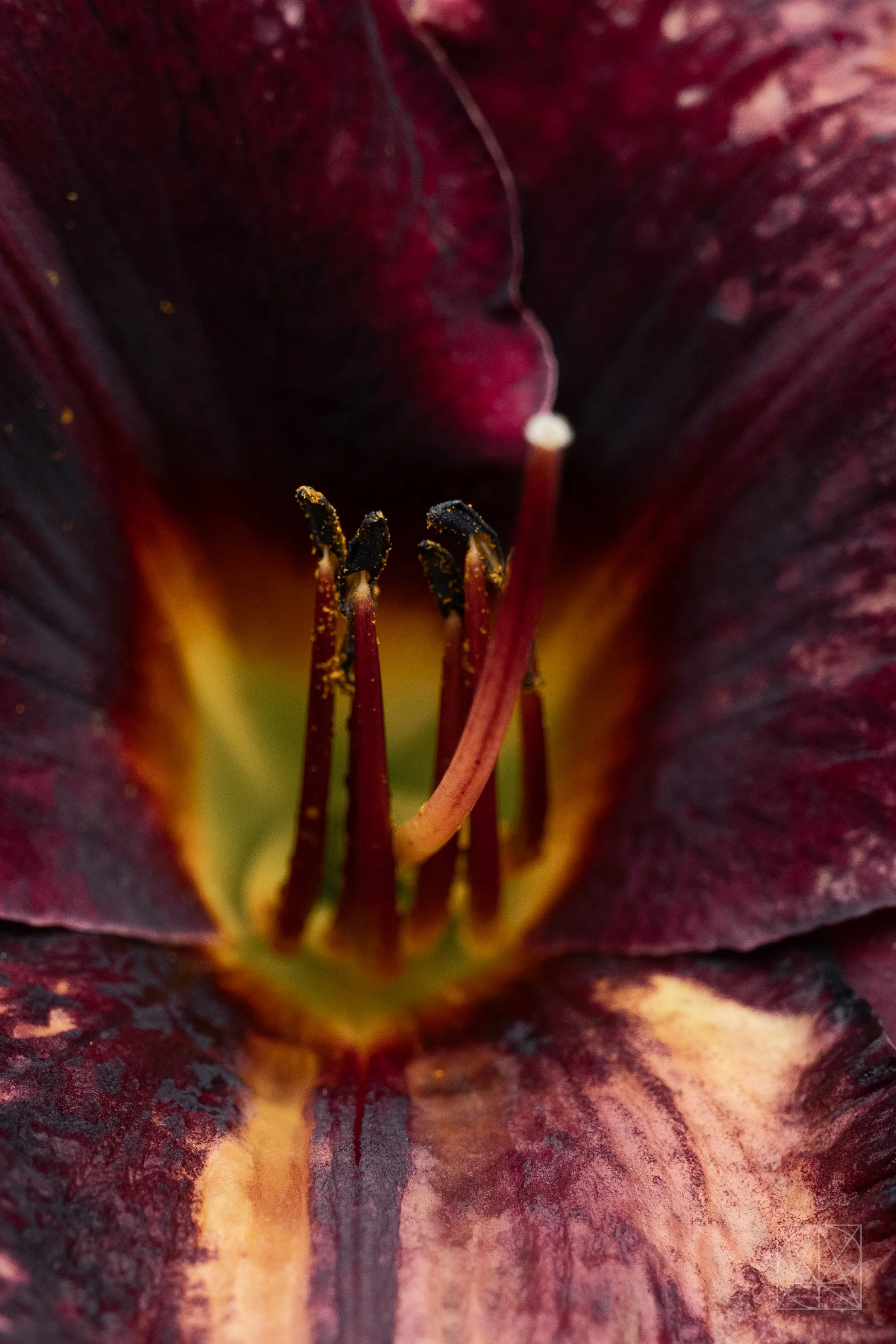 july_vt2026_1224.jpg