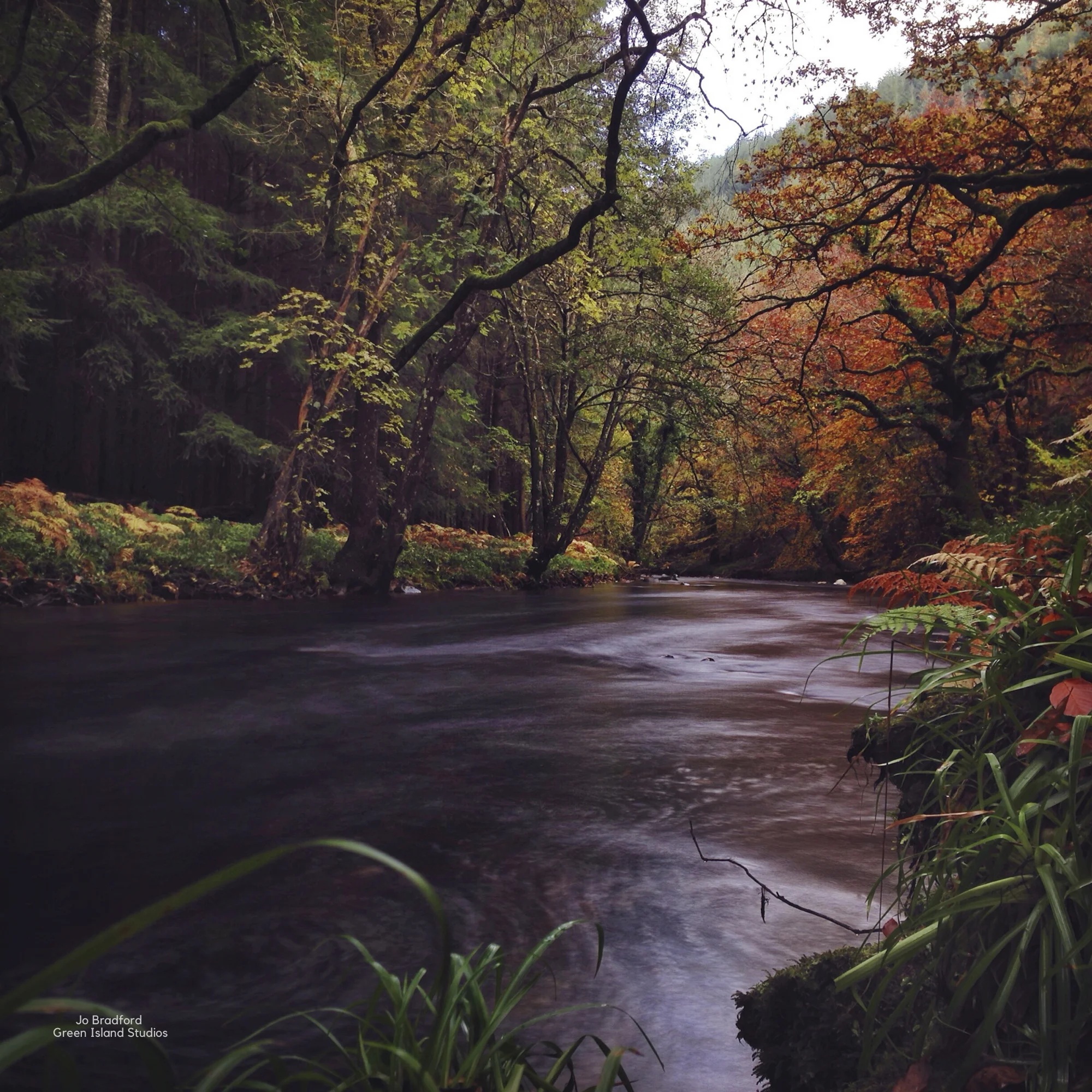 GreenIslandStudios-57.jpg
