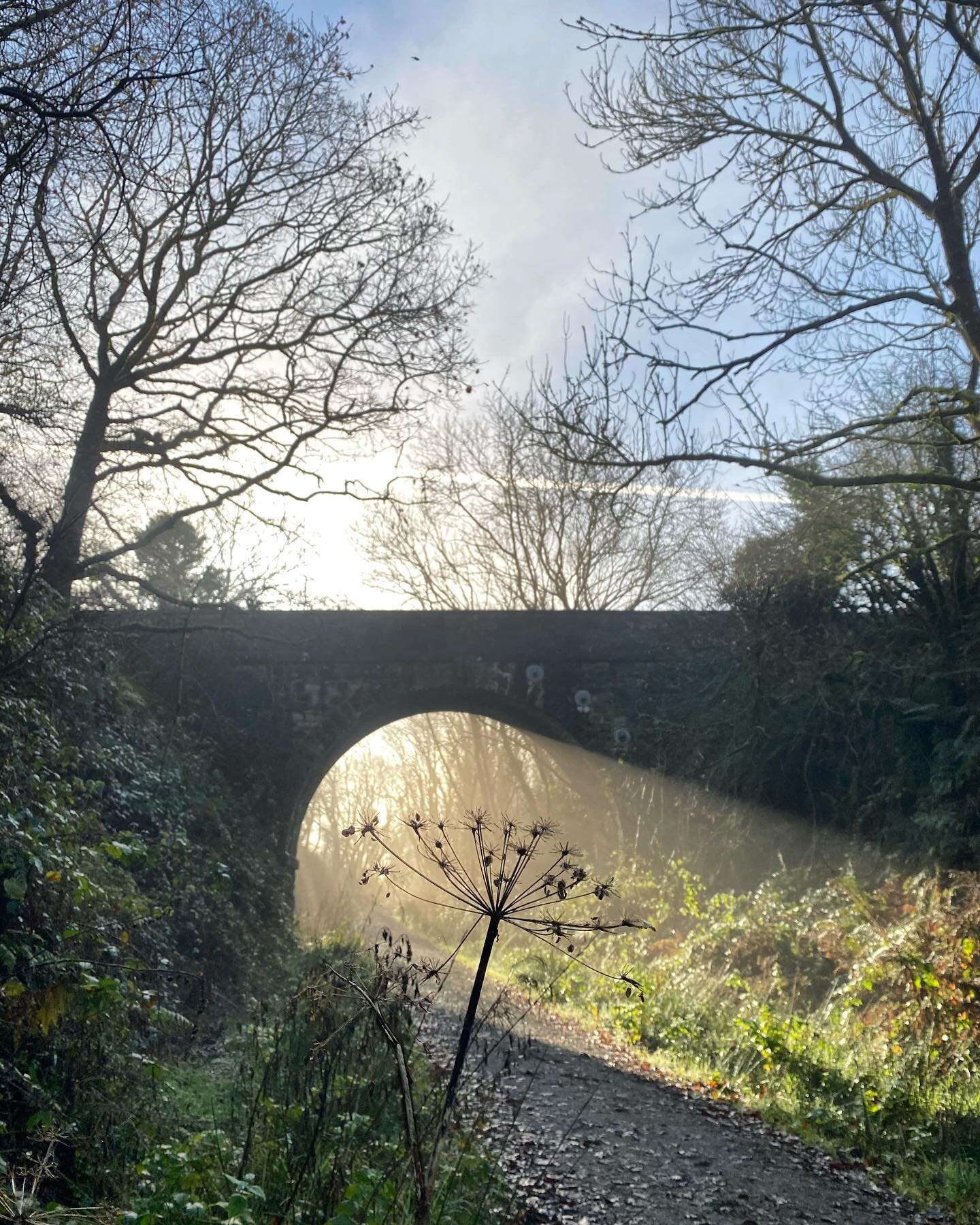 The glorious misty morning light stopped us in our tracks on our run this weekend.