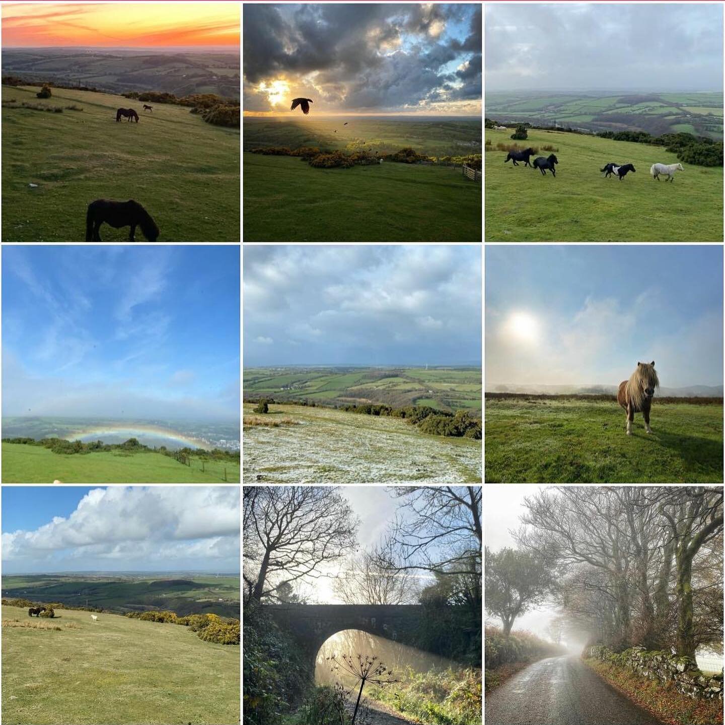 Happy New Year to you all!! This year I&rsquo;ve appreciated the view from my studio window more than ever. And it seems you lot like it too as 6 of my 9 most liked images of 2020 were shot from that very window!!