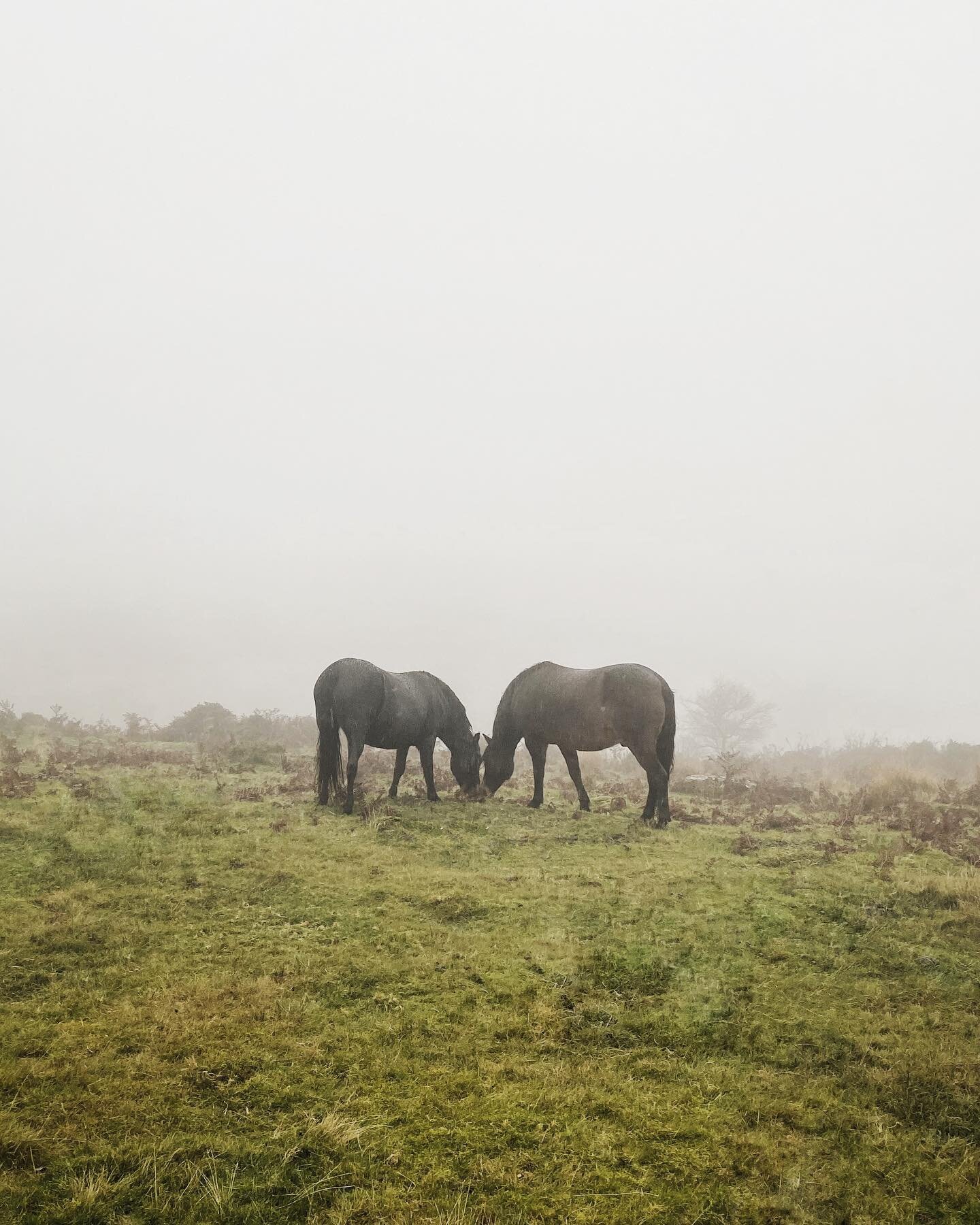 I wonder what they&rsquo;re thinking about?  I&rsquo;m doing planning for the photography and the editing workshops this week. If you want to join in, we have had a cancellation so head over to my website to nab a last minute place.