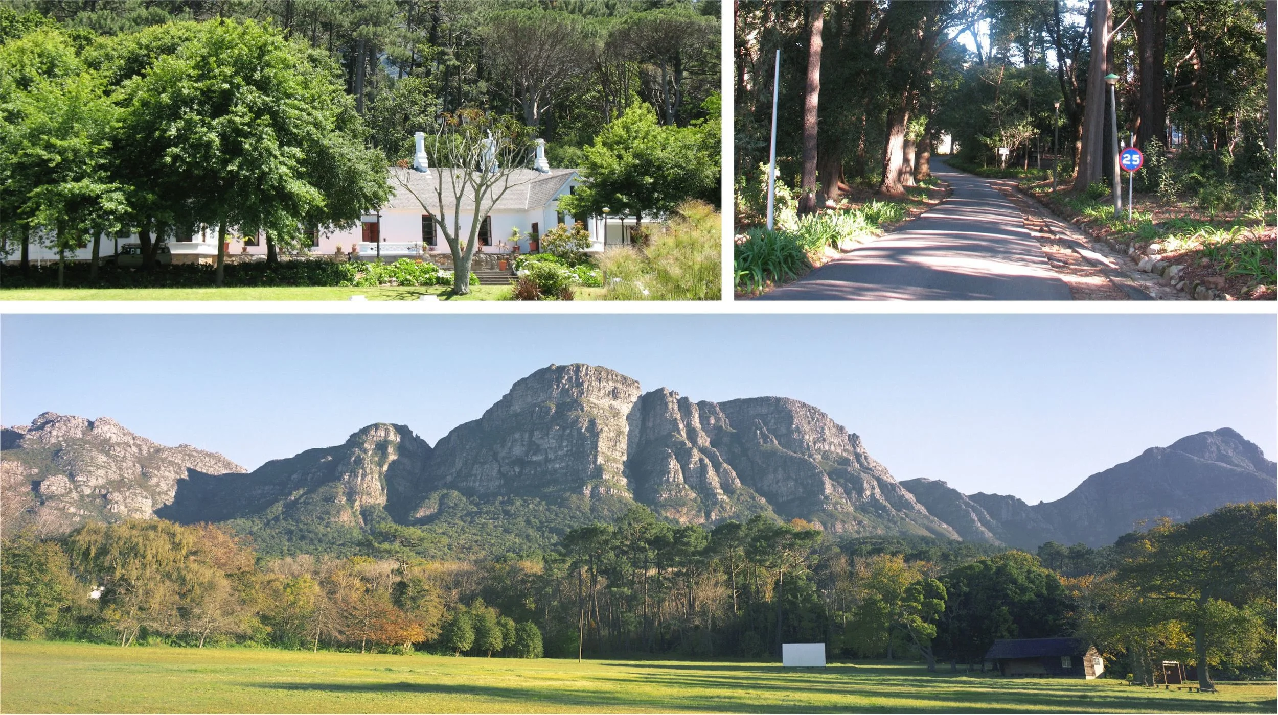 Fernwood Integrated Management Plan — Urban Concepts (PTY) LTD