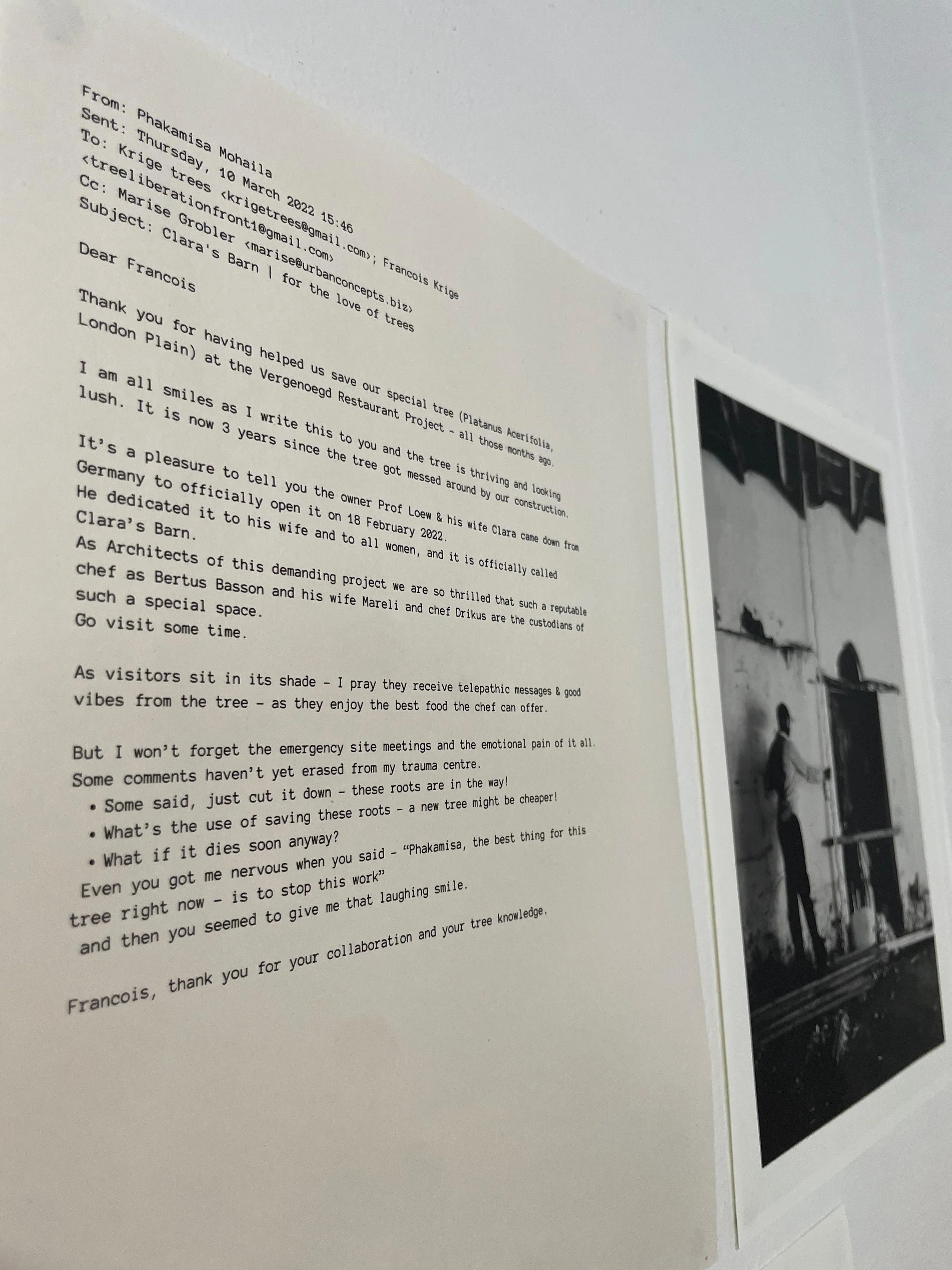 WhatsApp Image 2025-11-07 at 11.49.17_73d27347.jpg