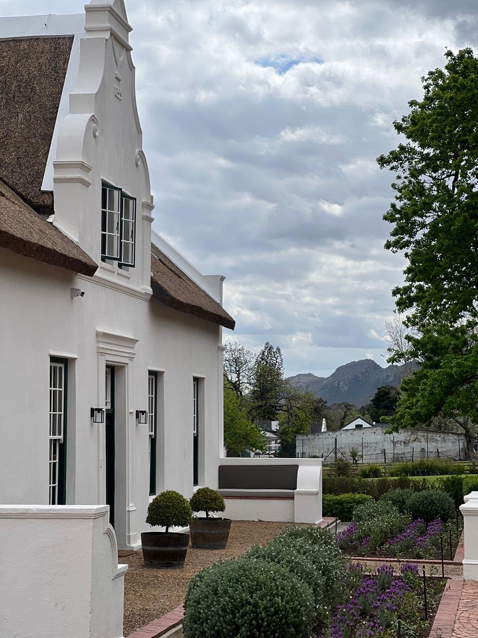 WhatsApp Image 2025-09-17 at 17.15.43 (2).jpeg